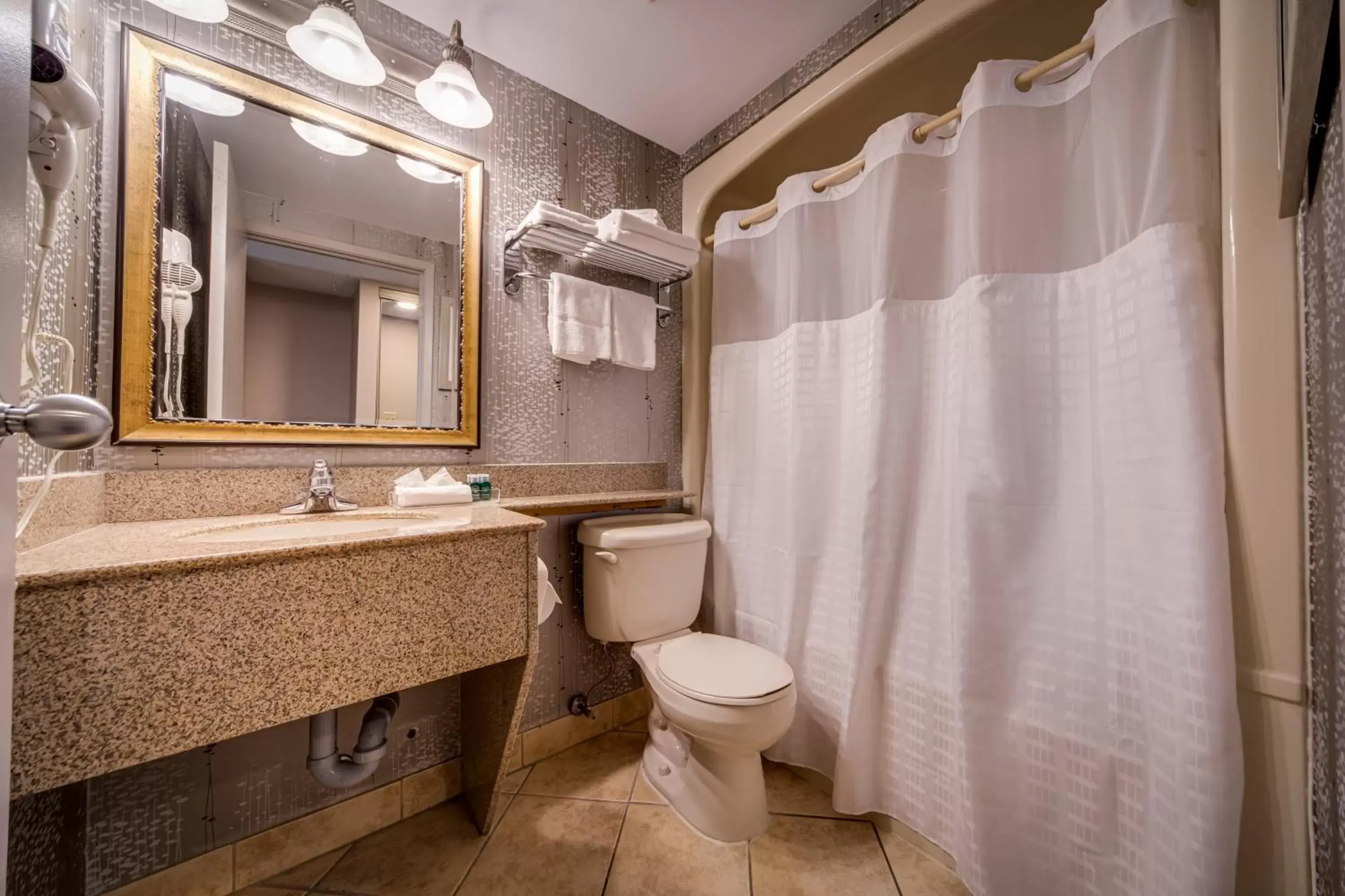 Toilet, Bathroom in Monte Carlo Inn Vaughan Suites