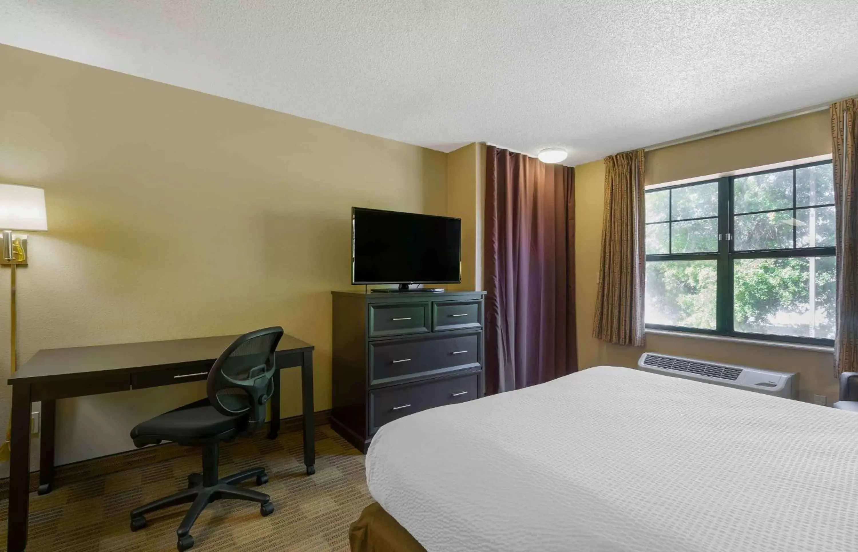 Bedroom, TV/Entertainment Center in Extended Stay America Suites - Tampa - Airport - Spruce Street