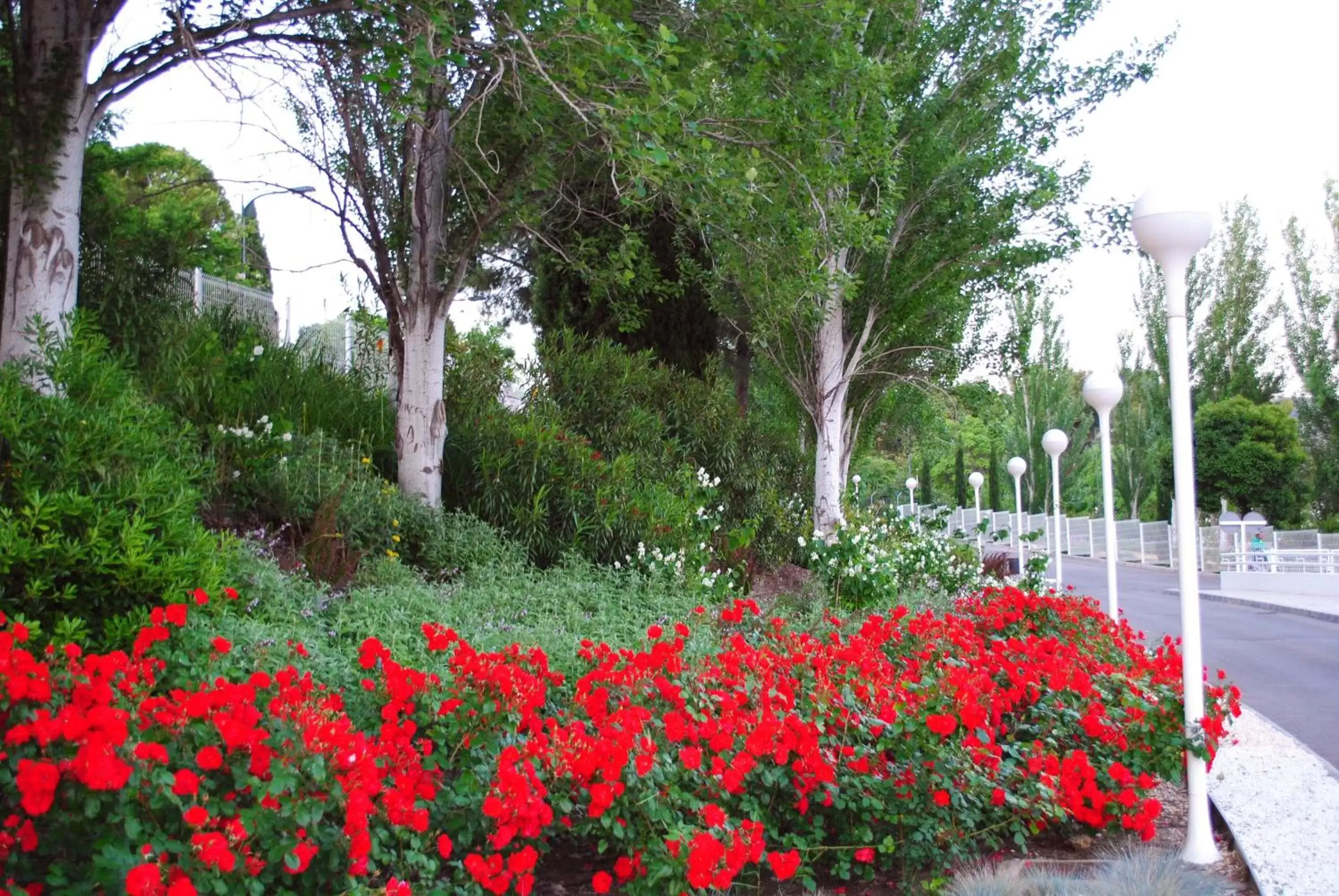 Garden in Parador de Antequera