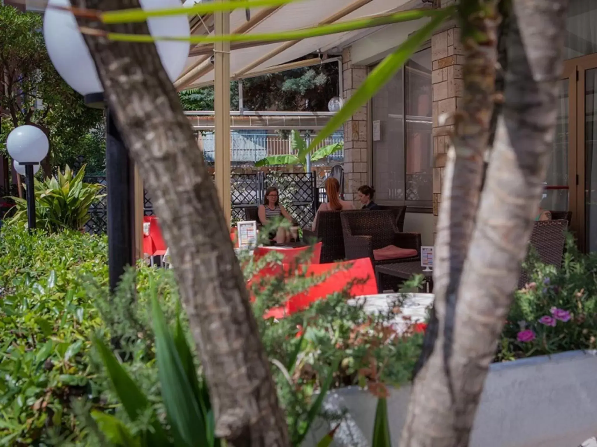 Patio in Hotel Ausonia