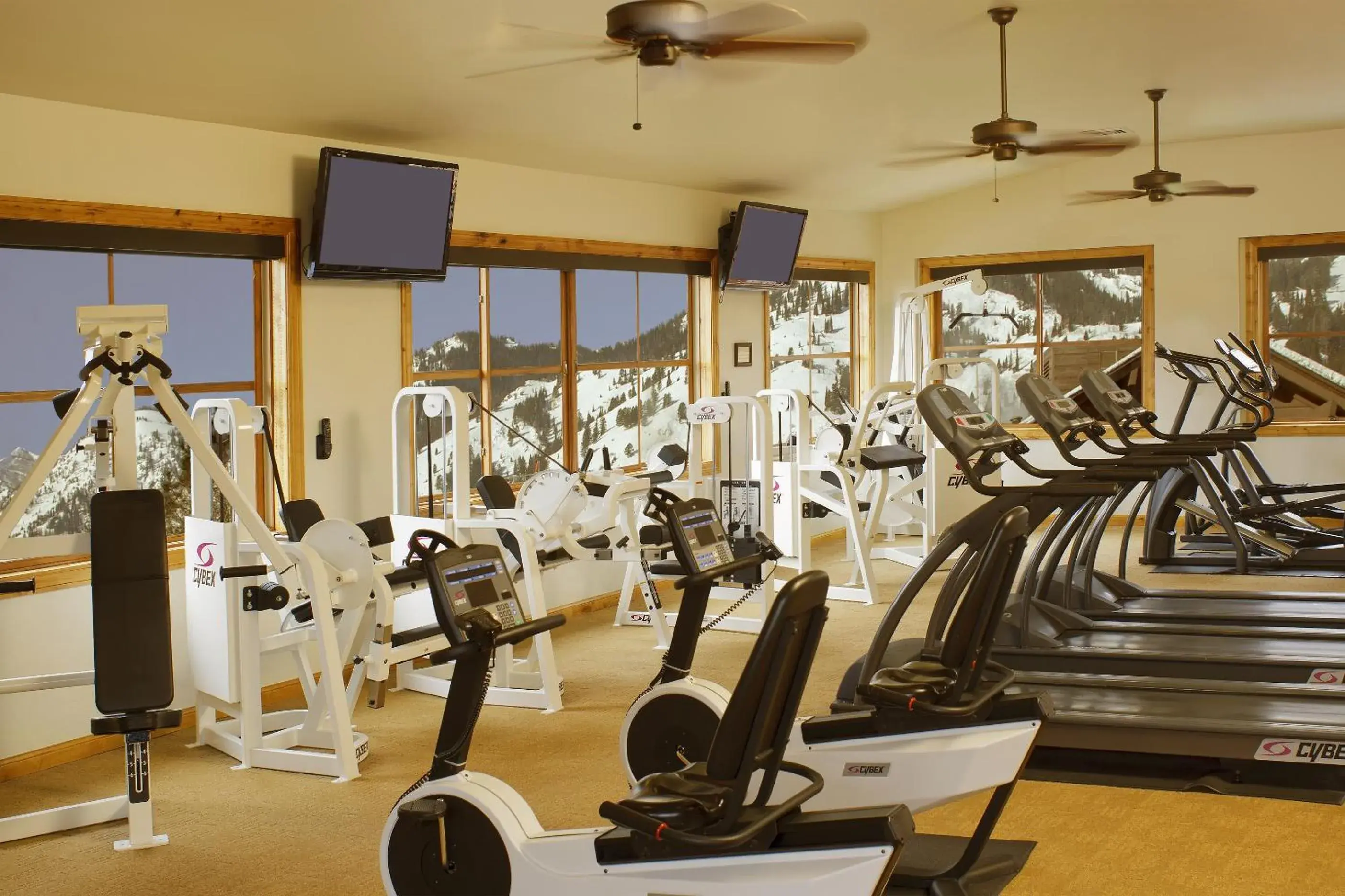 Fitness centre/facilities, Fitness Center/Facilities in Snake River Lodge And Spa