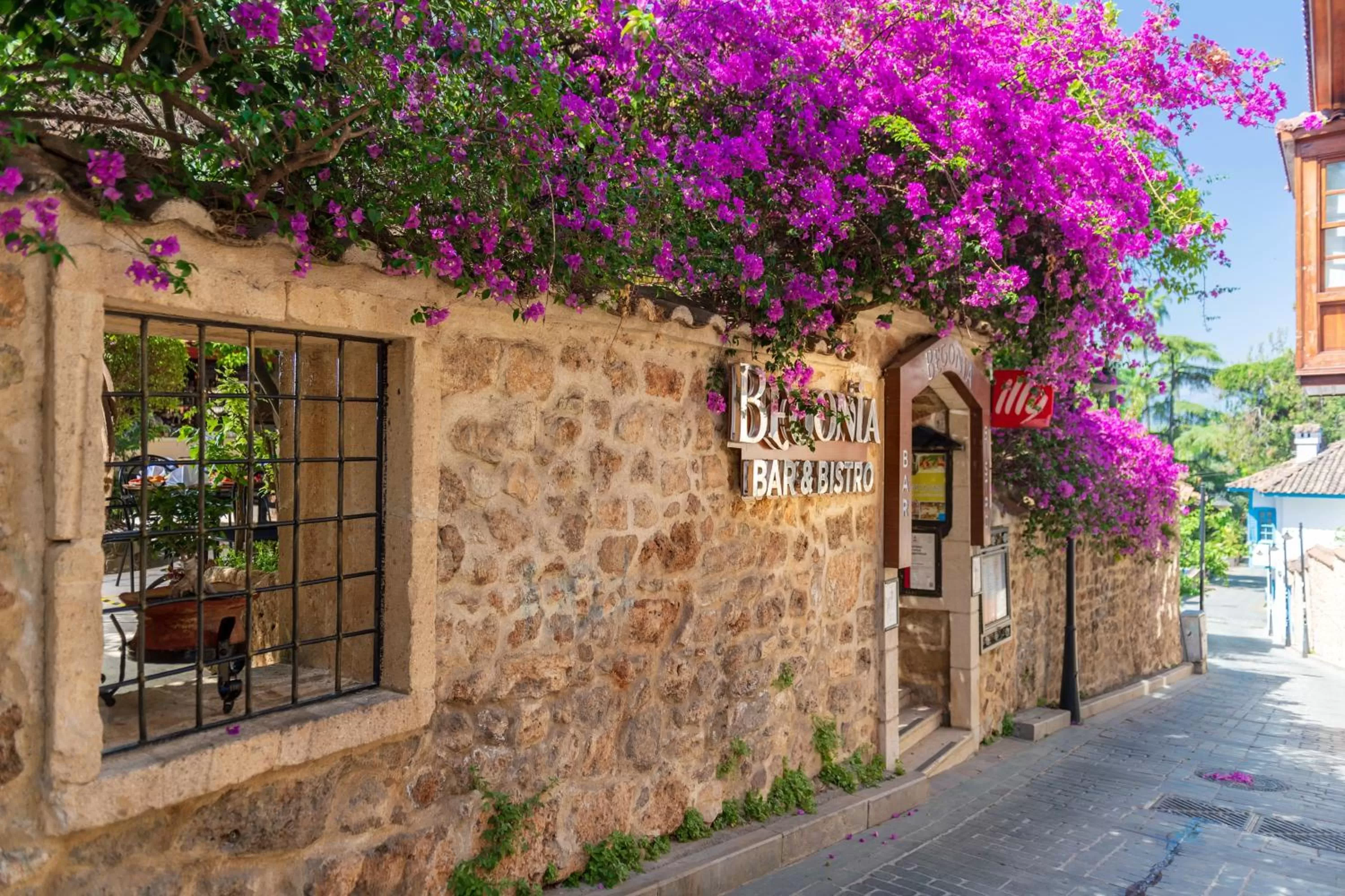 Restaurant/places to eat in Dogan Hotel