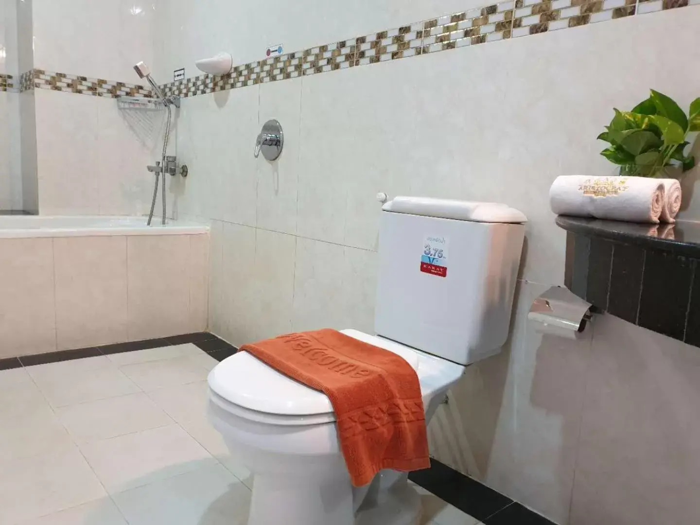 Shower, Bathroom in Aristocrat Residence & Hotel