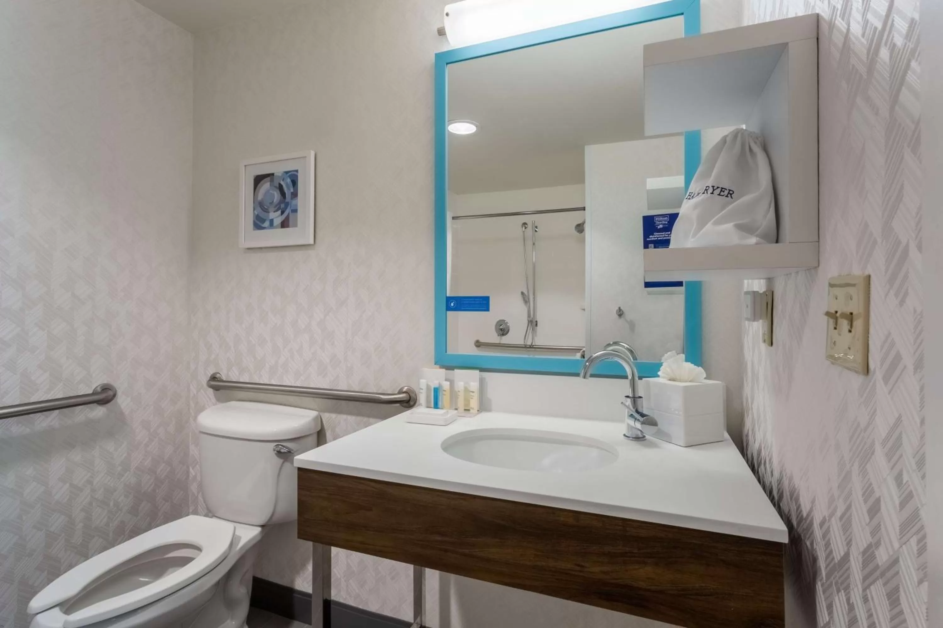 Bathroom in Hampton Inn & Suites Herndon-Reston