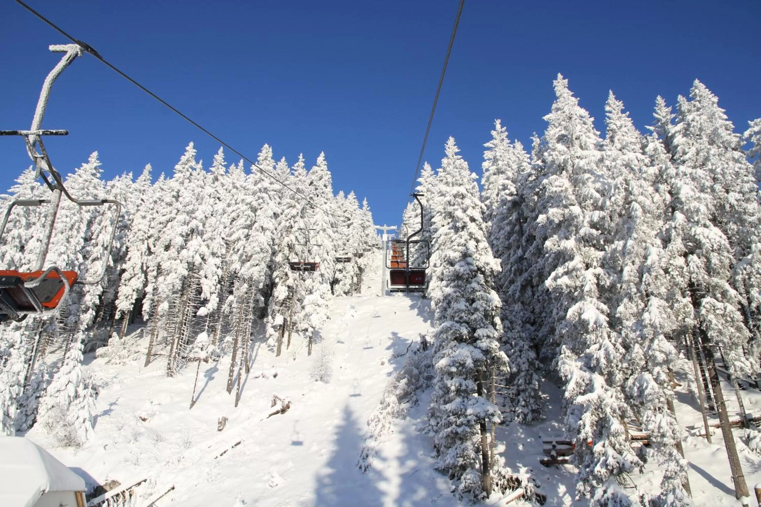 People in Wellness Hotel Montis