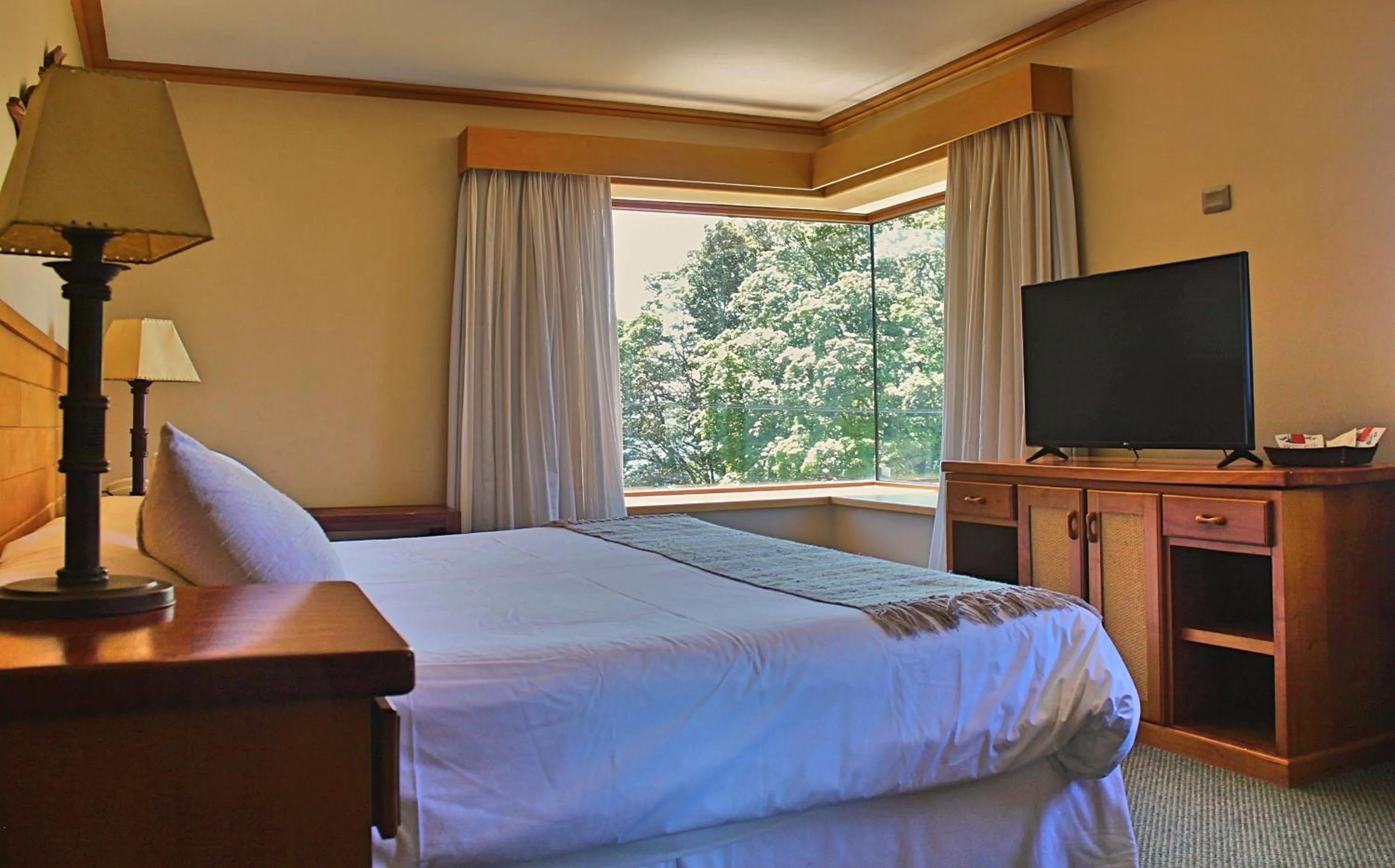 Photo of the whole room, Bed in Hotel Puelche