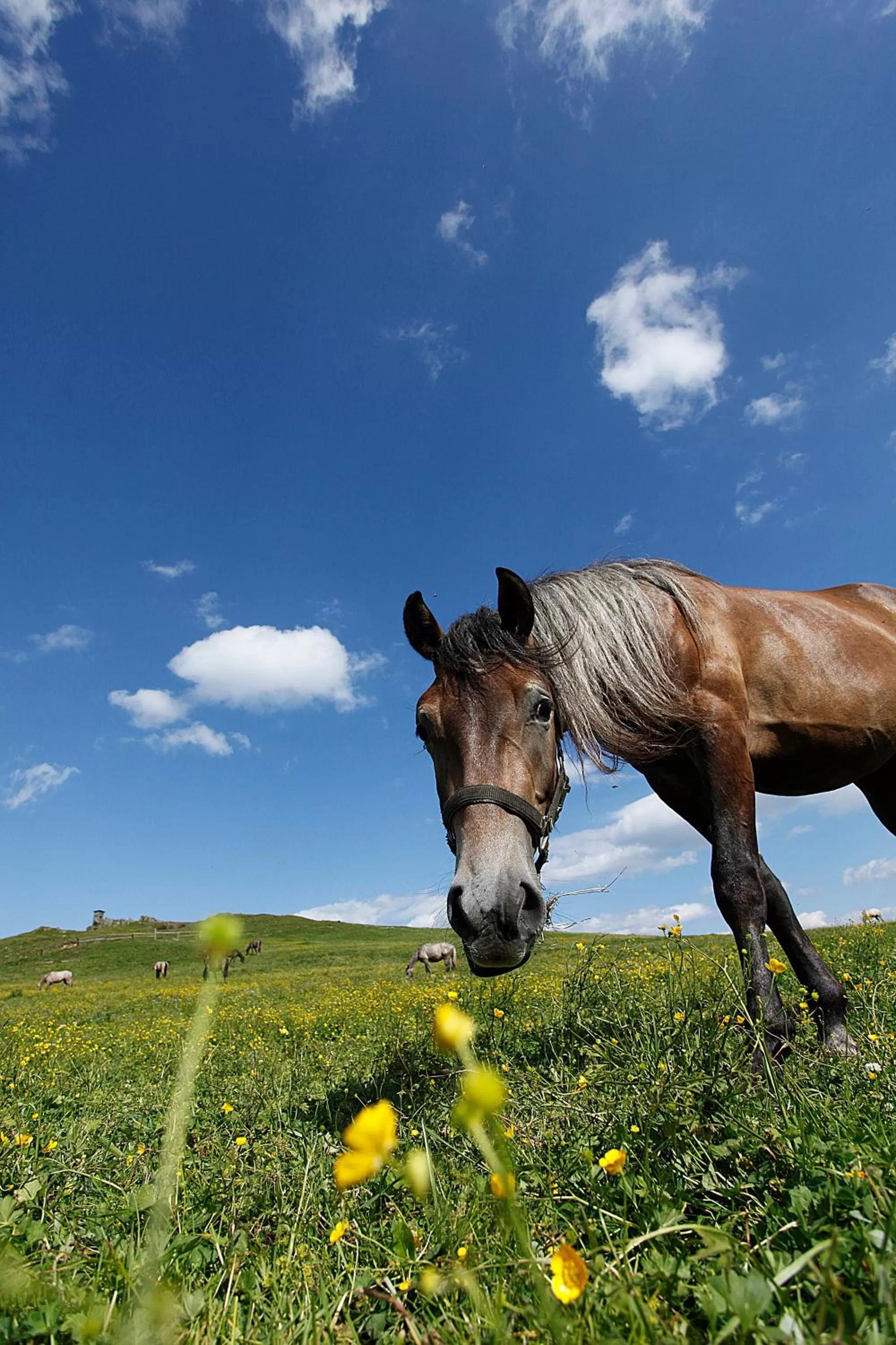Natural landscape in JUFA Hotel Maria Lankowitz
