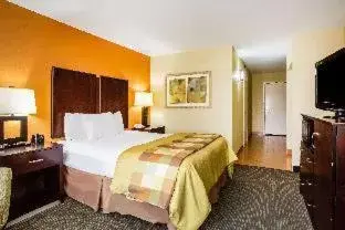 King Suite with Transfer Shower- Accessible/Non Smoking/1st Floor in MainStay Suites