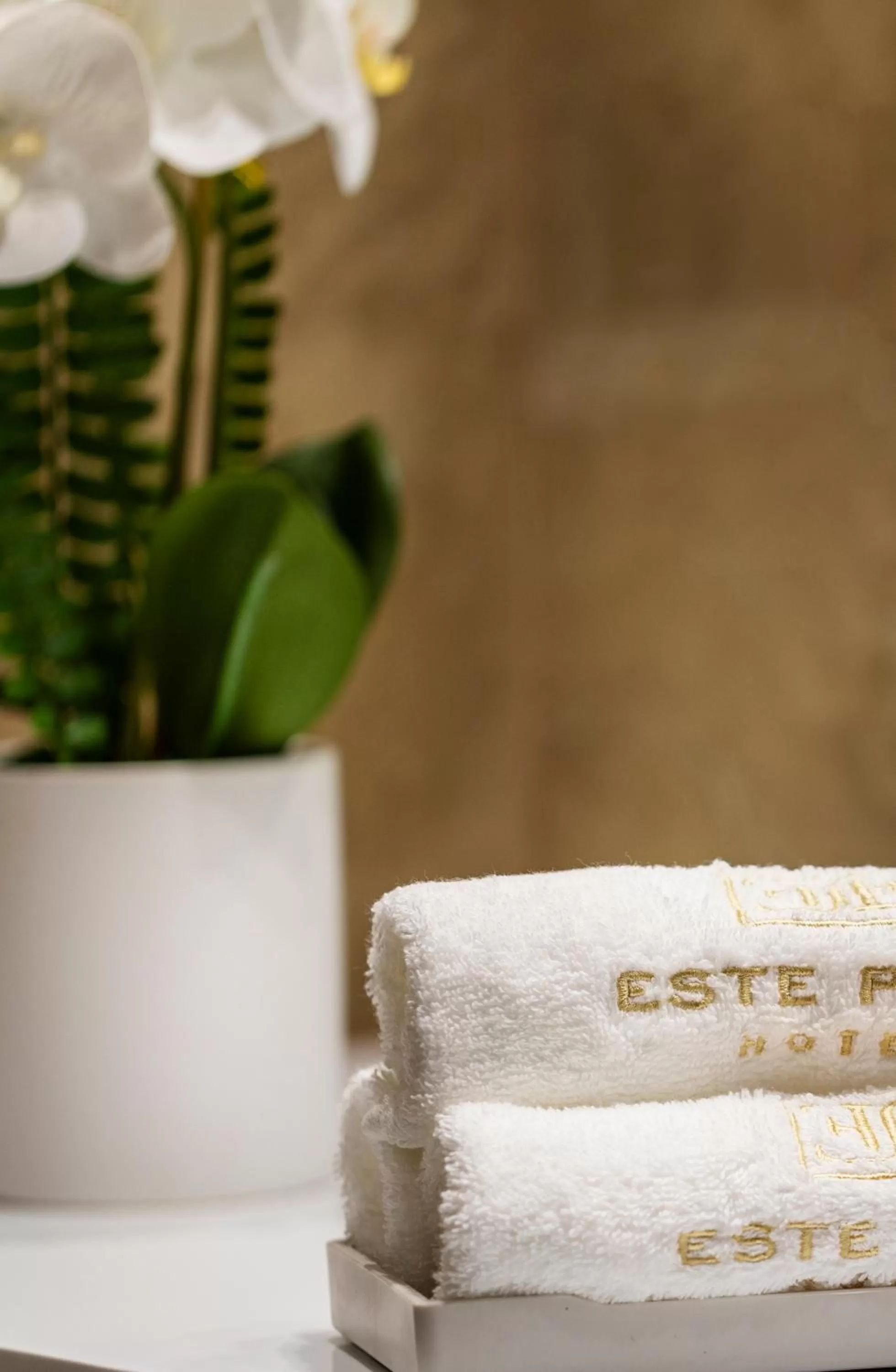 Decorative detail in -- ESTE PARK HOTEL -- part of Urban Chic Luxury Design Hotels - Parking & Compliments - next to Shopping & Dining Mall Plovdiv