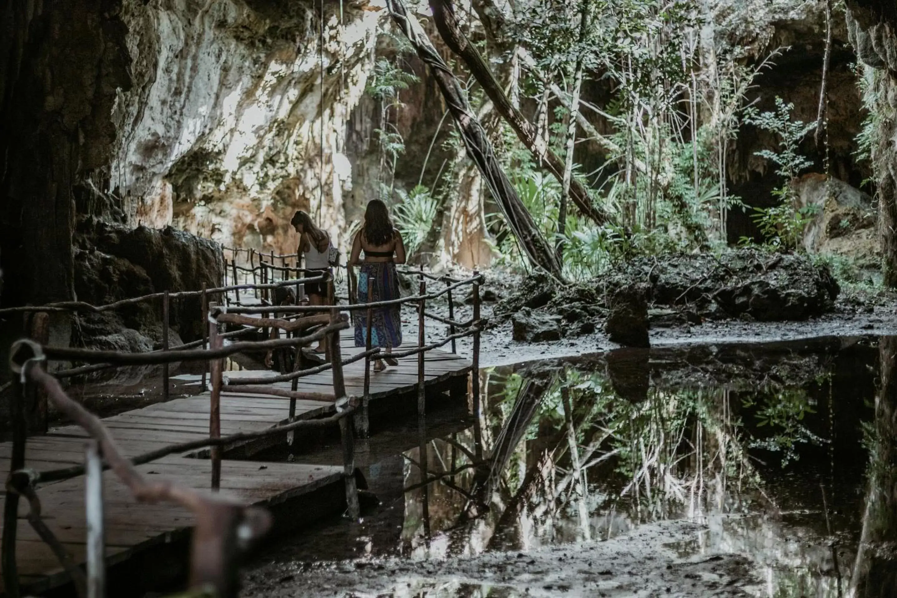 Natural landscape in Selina Tulum