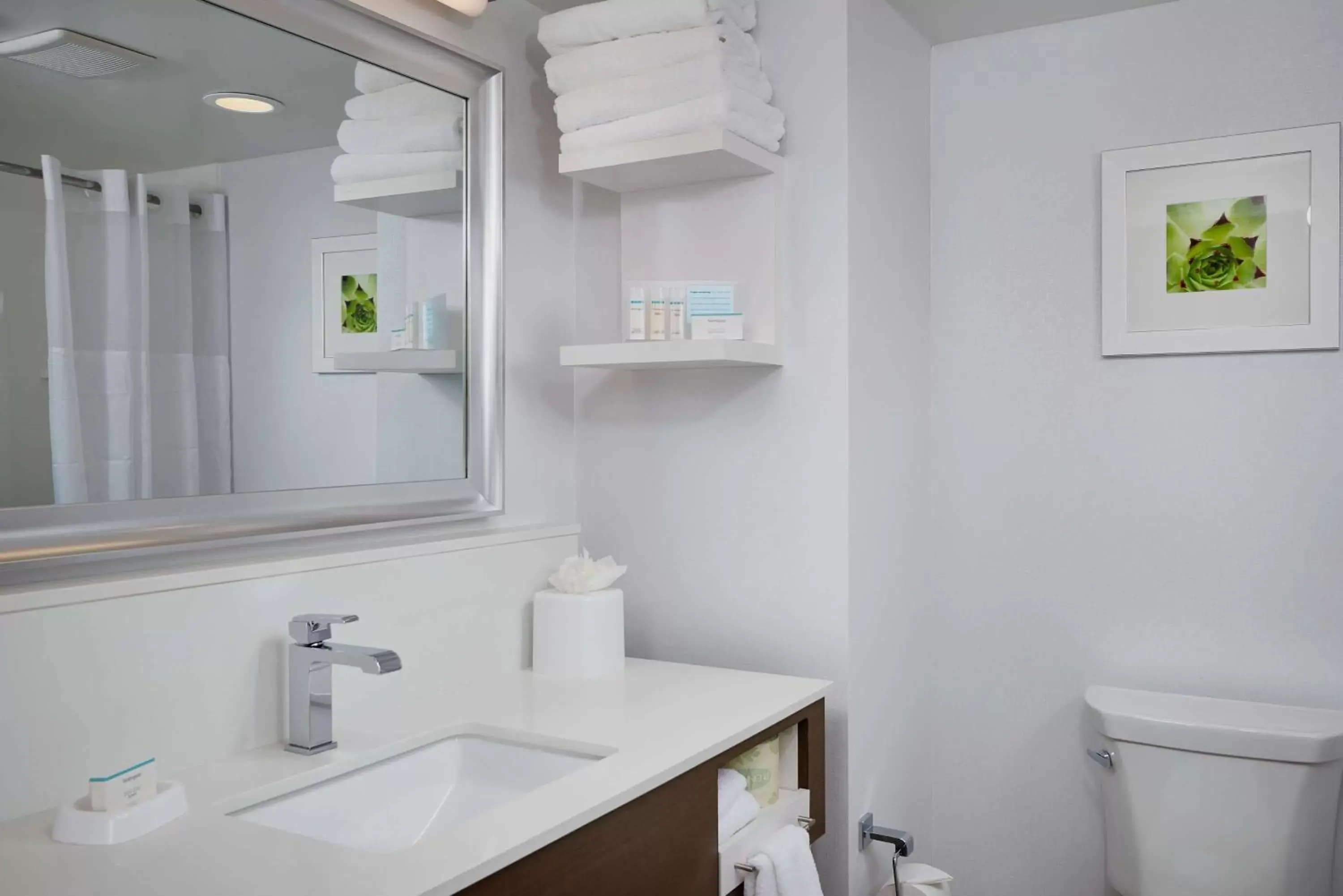 Bathroom in Hampton Inn & Suites Scottsdale On Shea Blvd