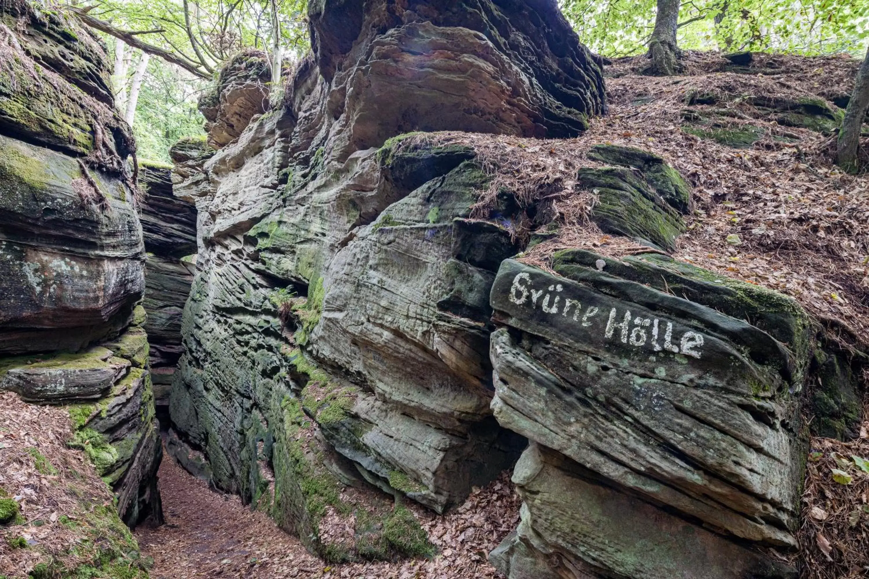 Natural landscape in Waldhotel Sonnenberg