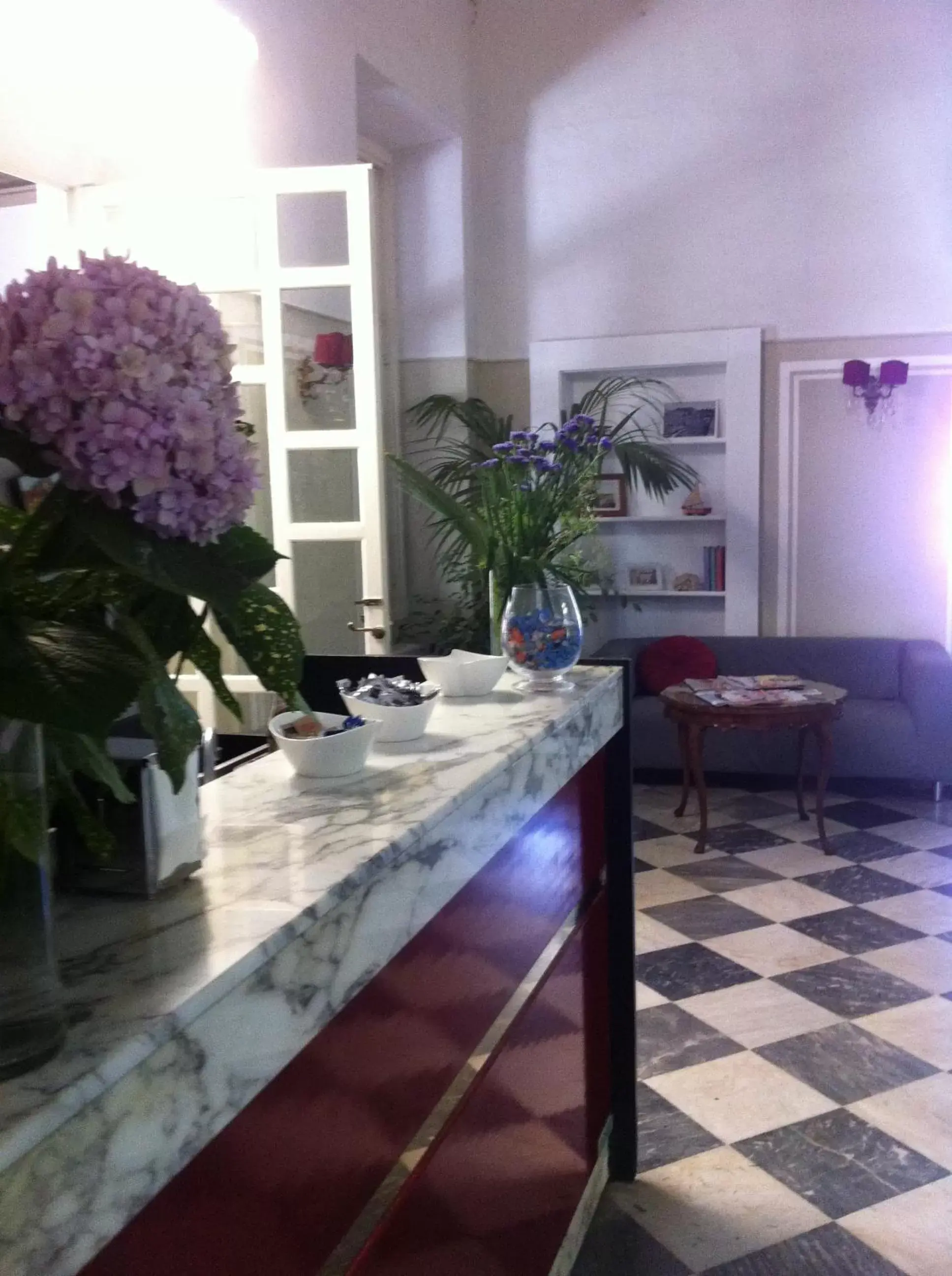 Lounge or bar, Lobby/Reception in Hotel Villa Bonera