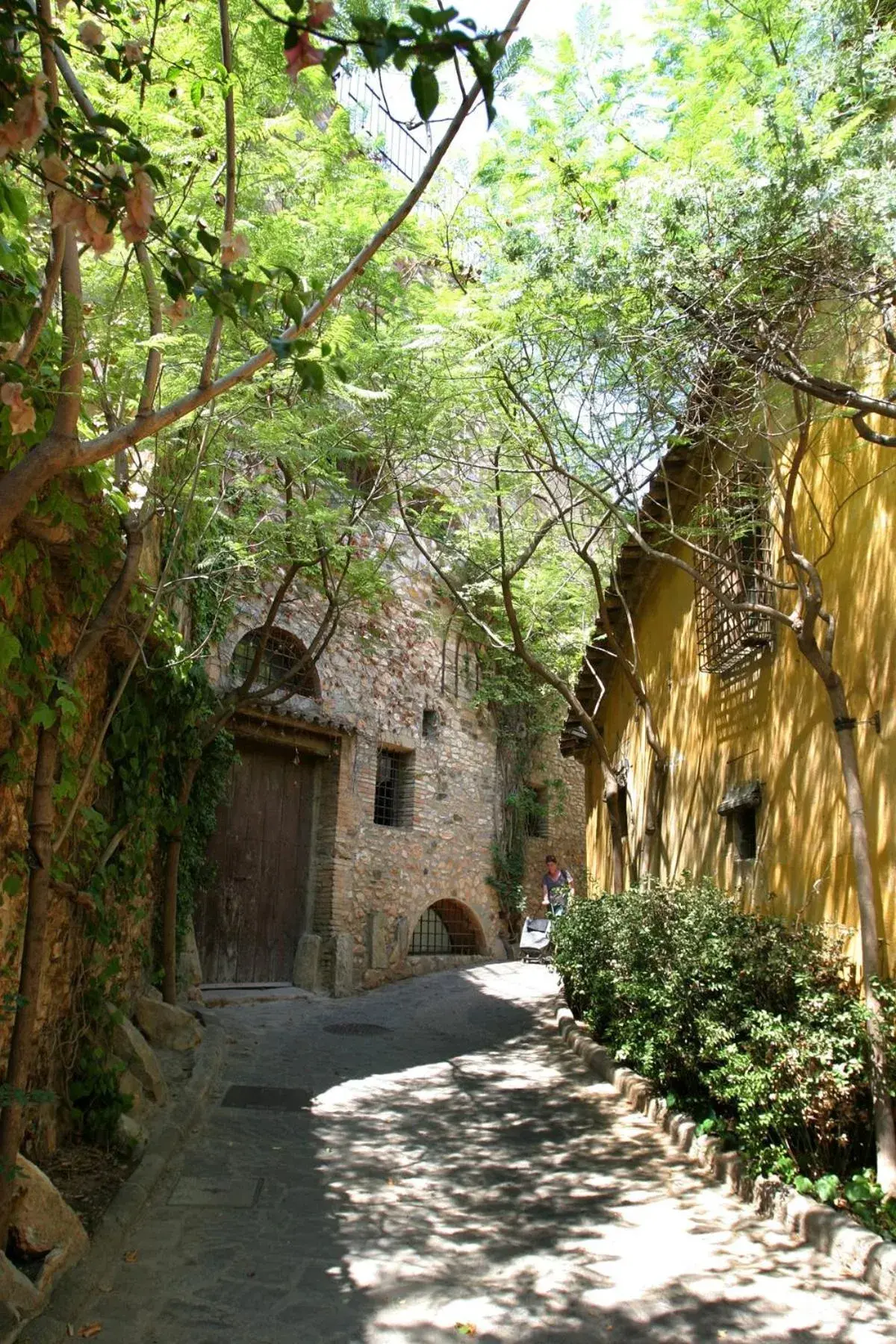 Natural landscape, Property Building in Hotel Esplugues