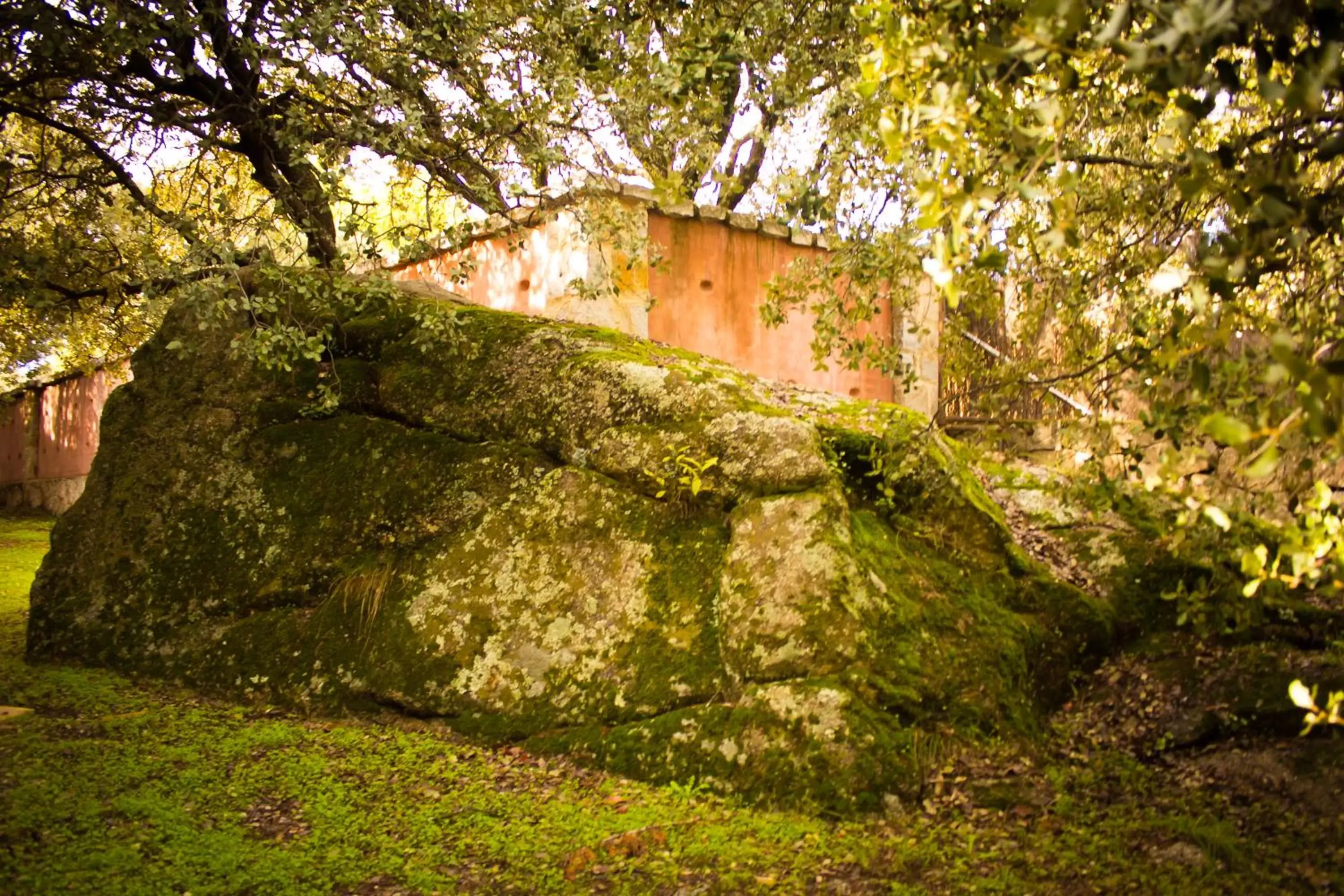 Garden, Natural Landscape in Hotel Sara De Ur