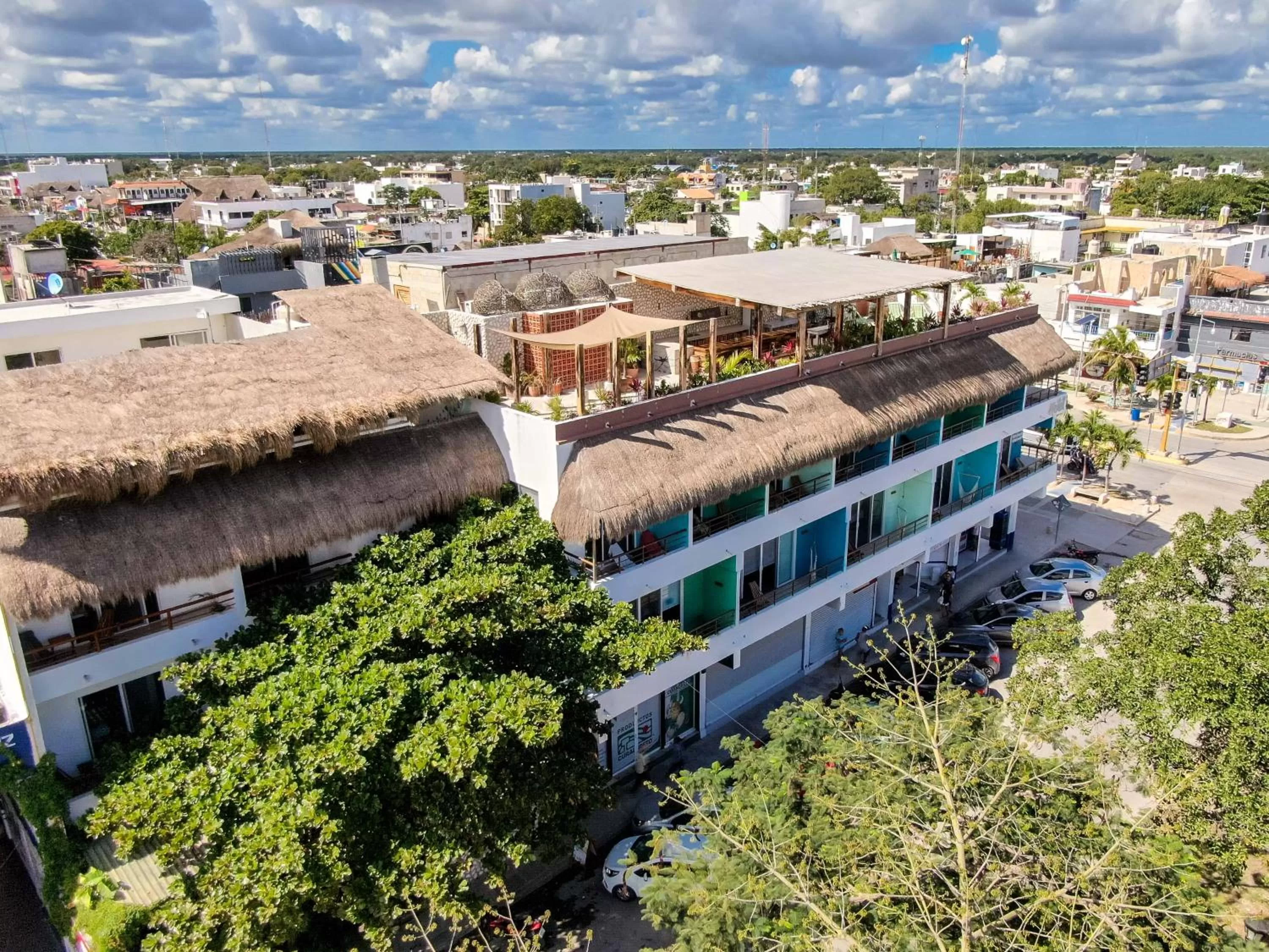 Bird's eye view, Bird's-eye View in La Palmita Budget Boutique Hotel