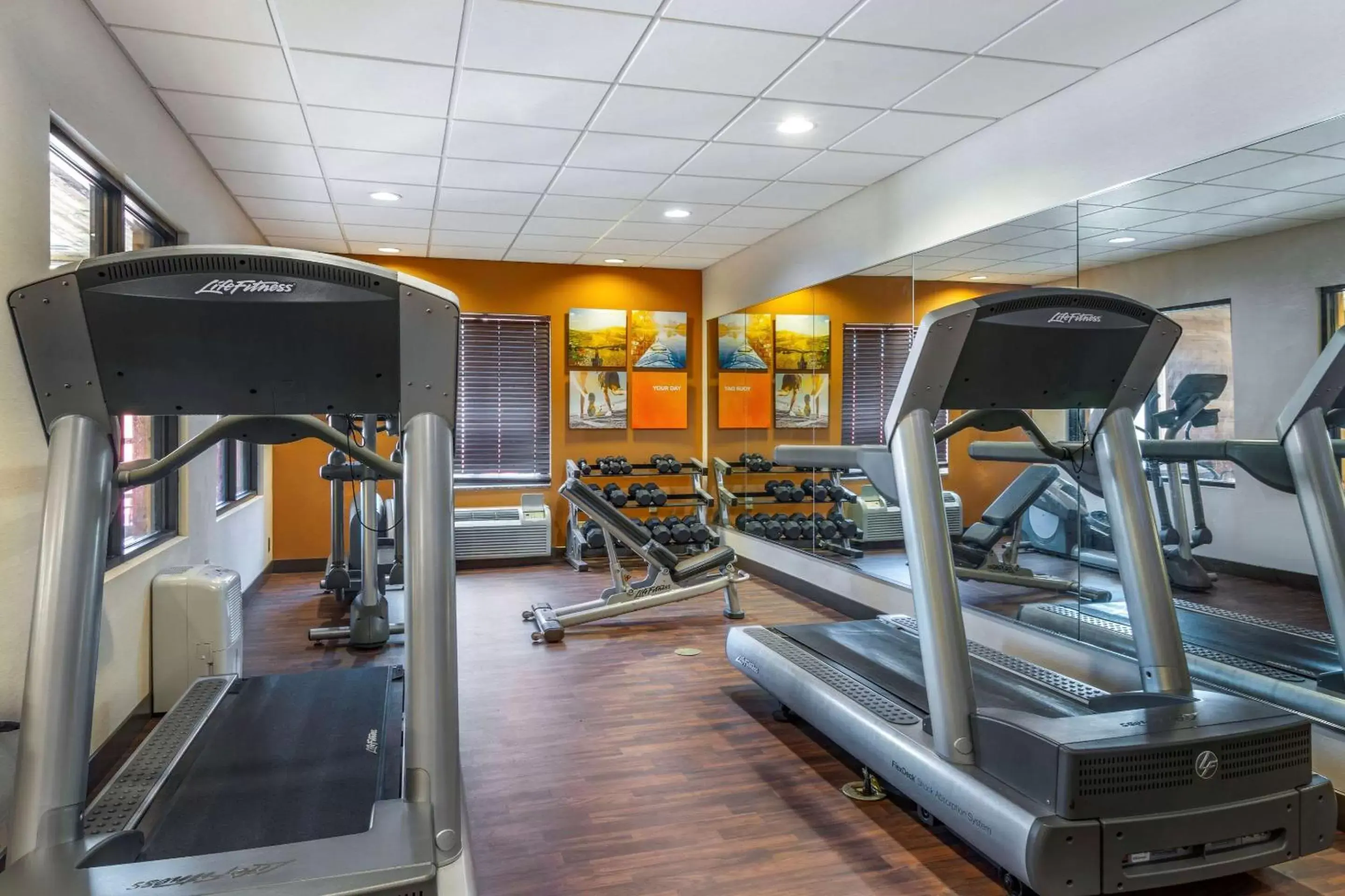 Fitness centre/facilities, Fitness Center/Facilities in Comfort Suites Manhattan