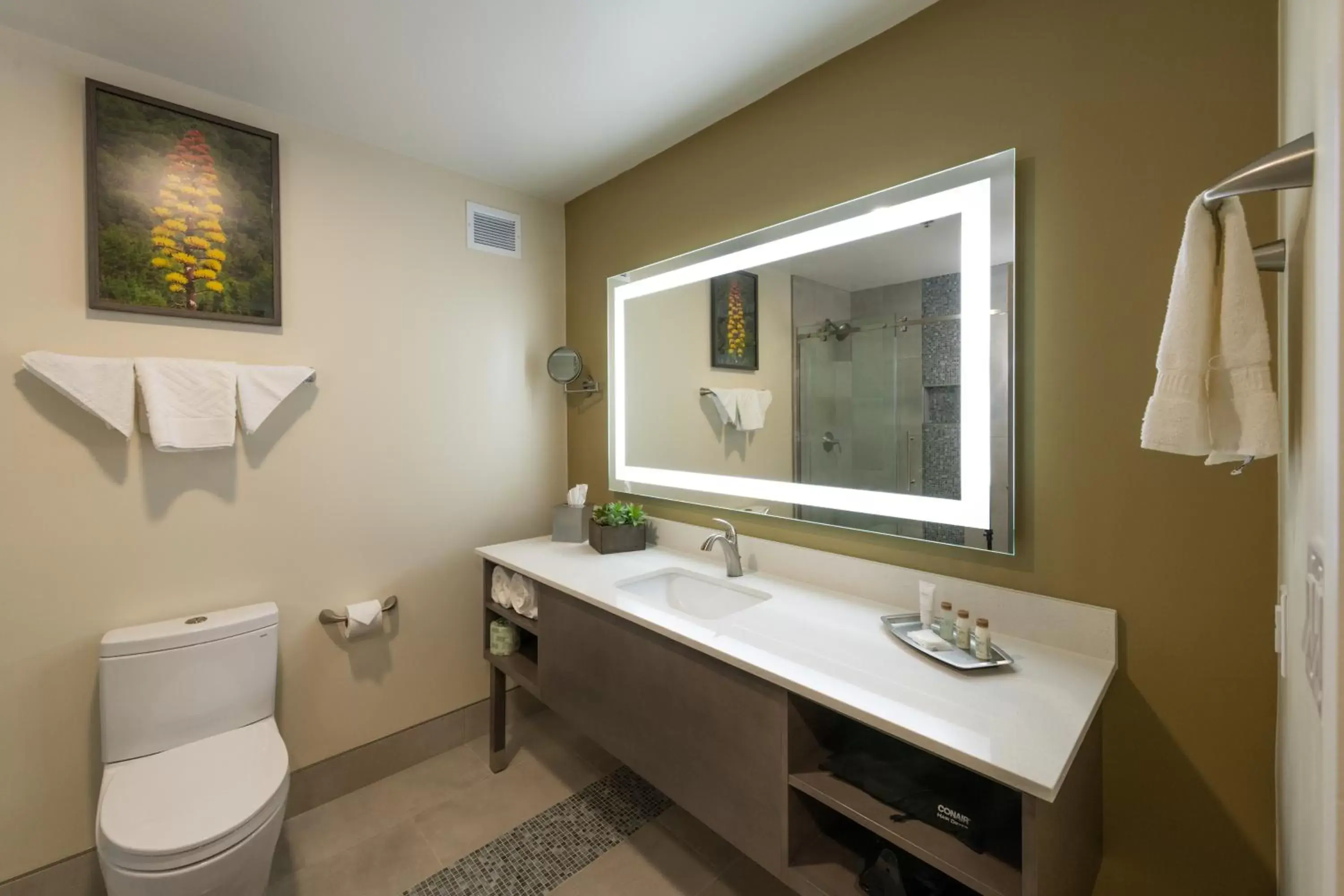 Bathroom in Apache Gold Resort Hotel & Casino