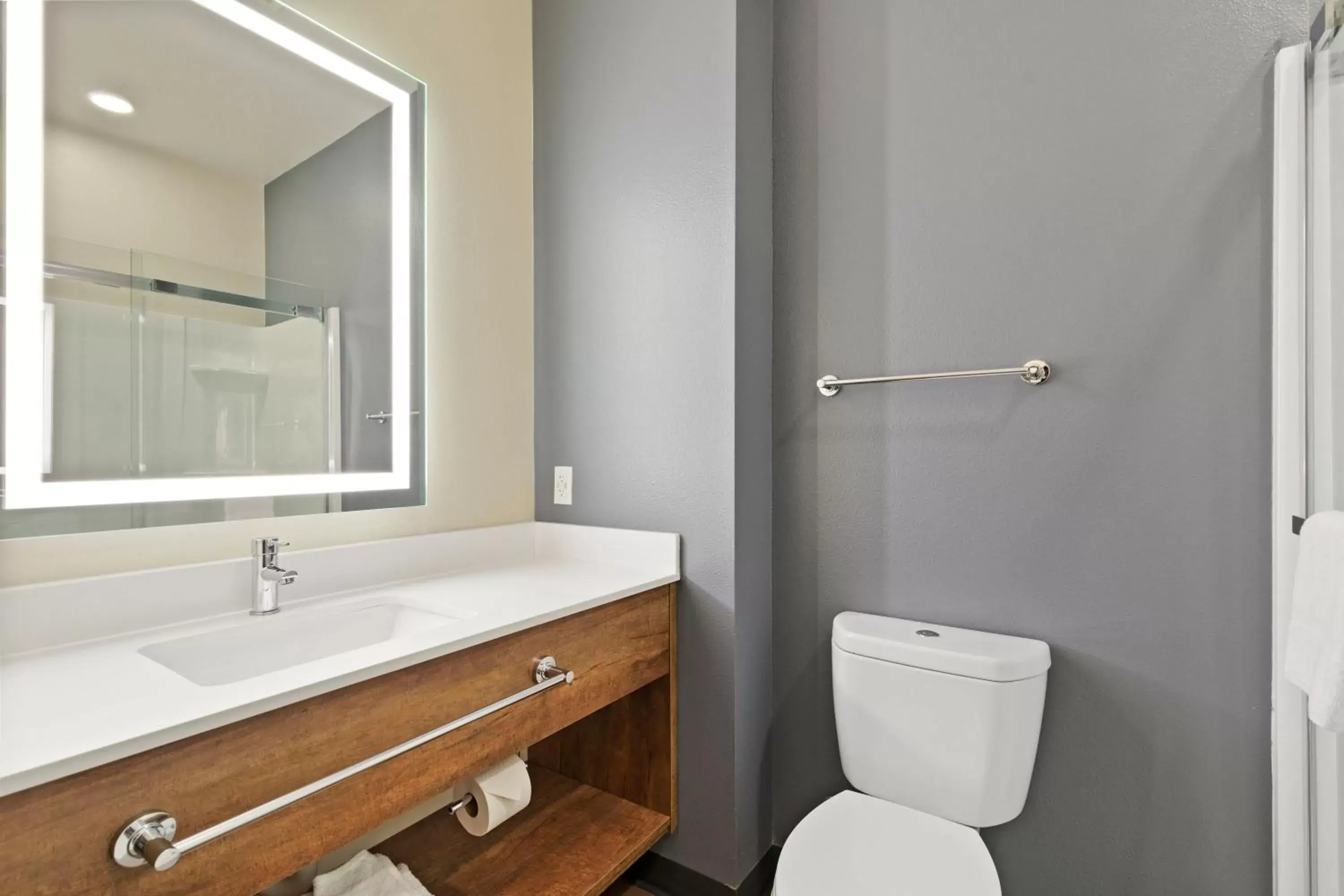Bathroom in Extended Stay America Premier Suites - Tampa - Fairgrounds - Casino