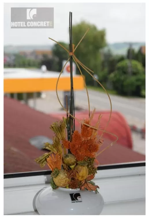 Other in Hotel Concrete