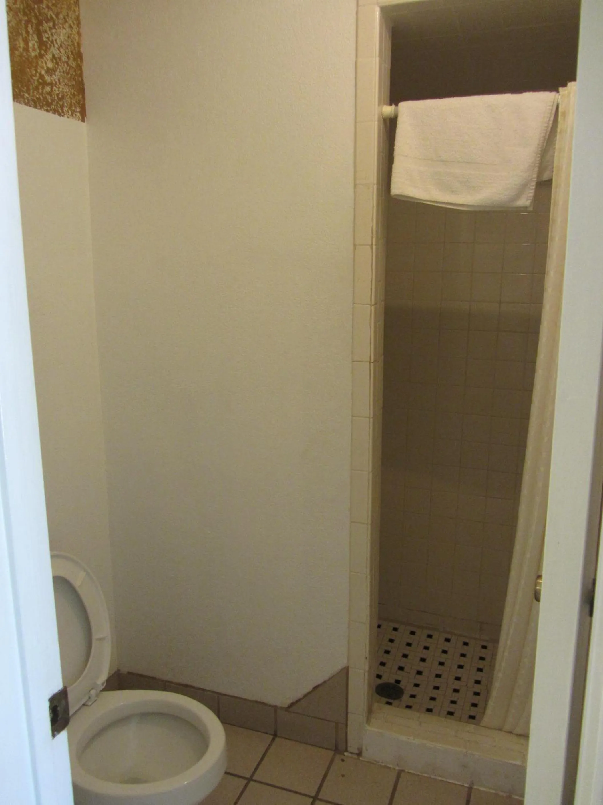 Bathroom in Hebbronville Executive Inn