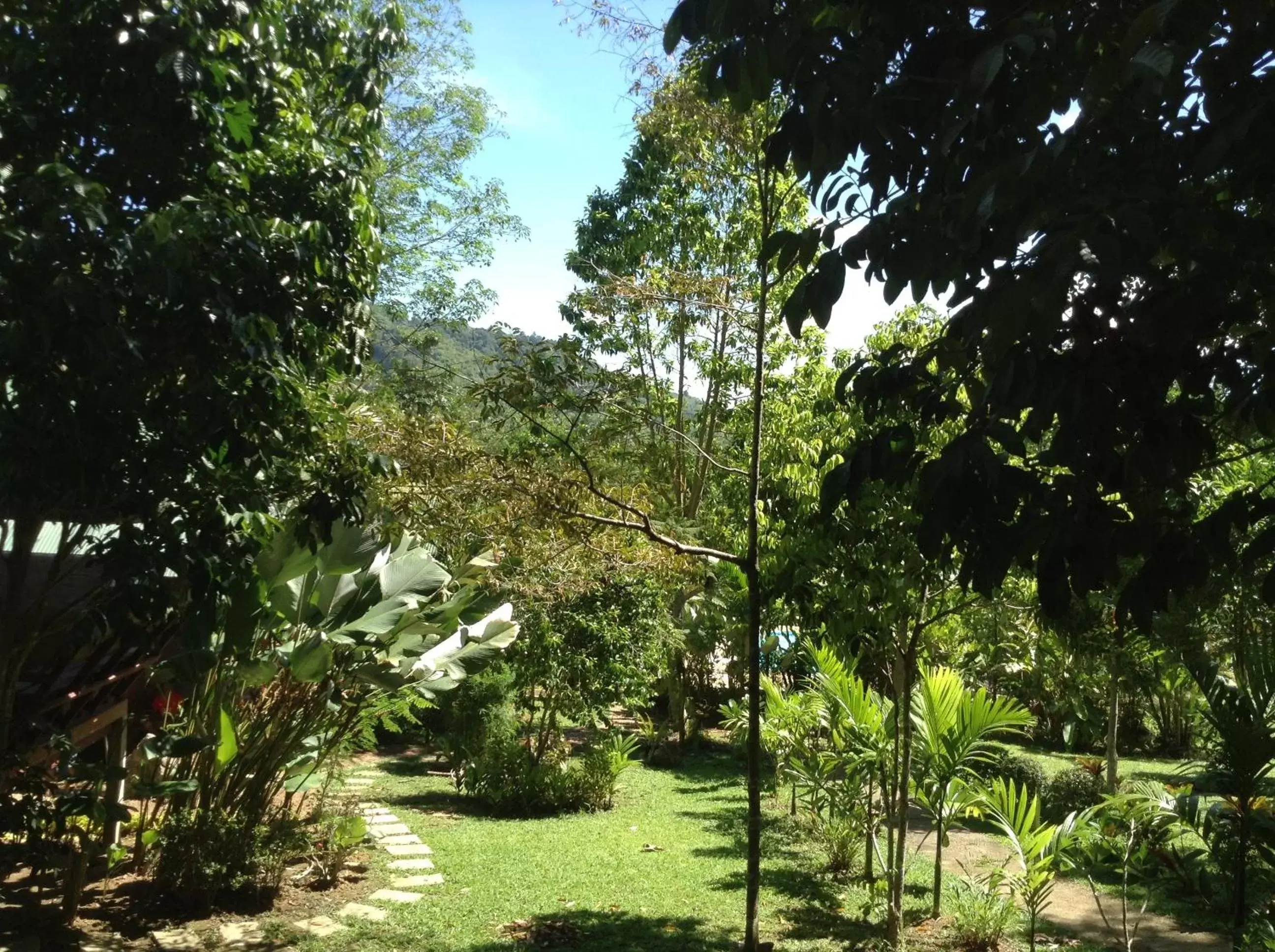Garden in Vipa Tropical Resort