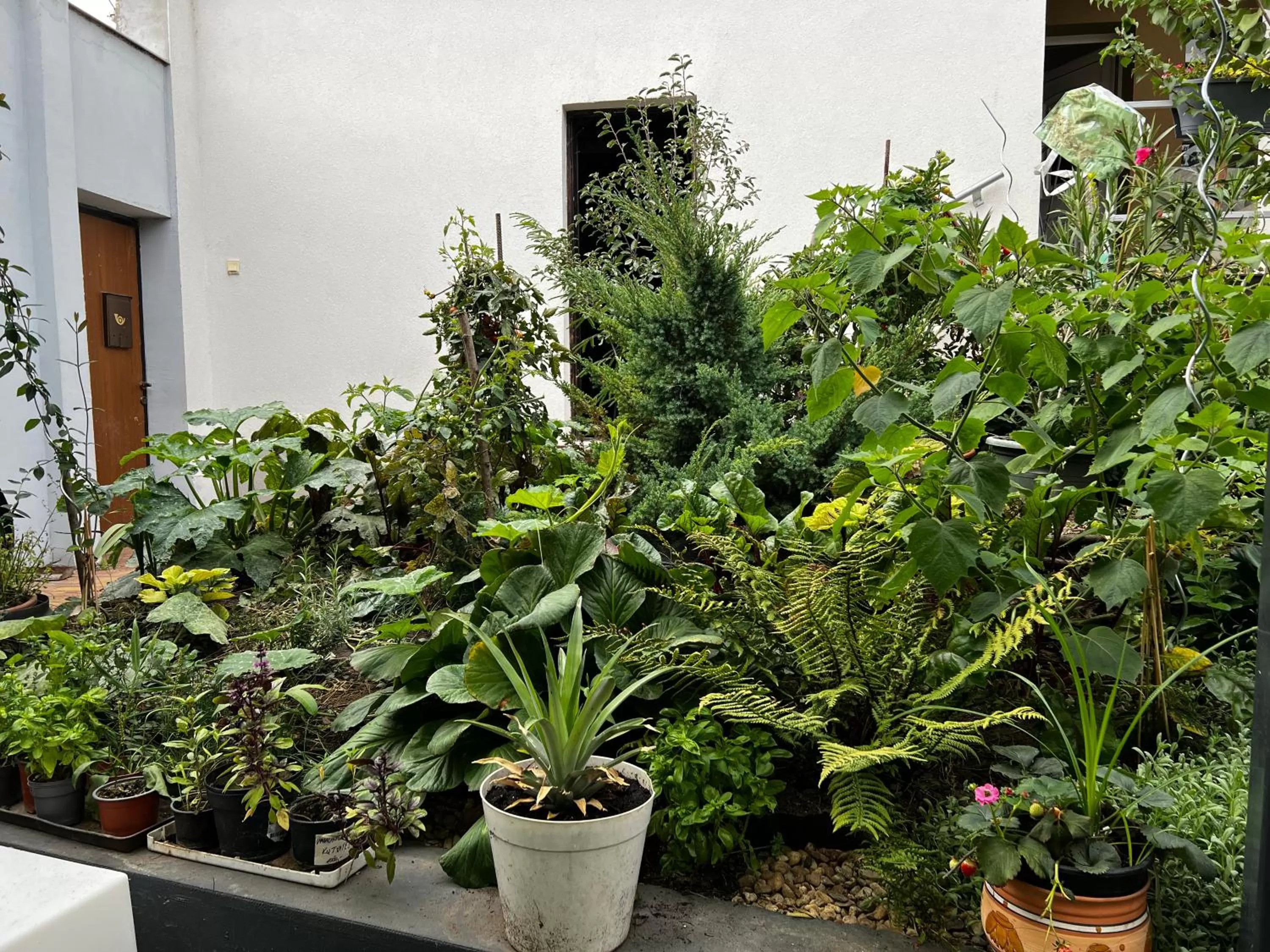 Garden in Margaréta Garden & SPA