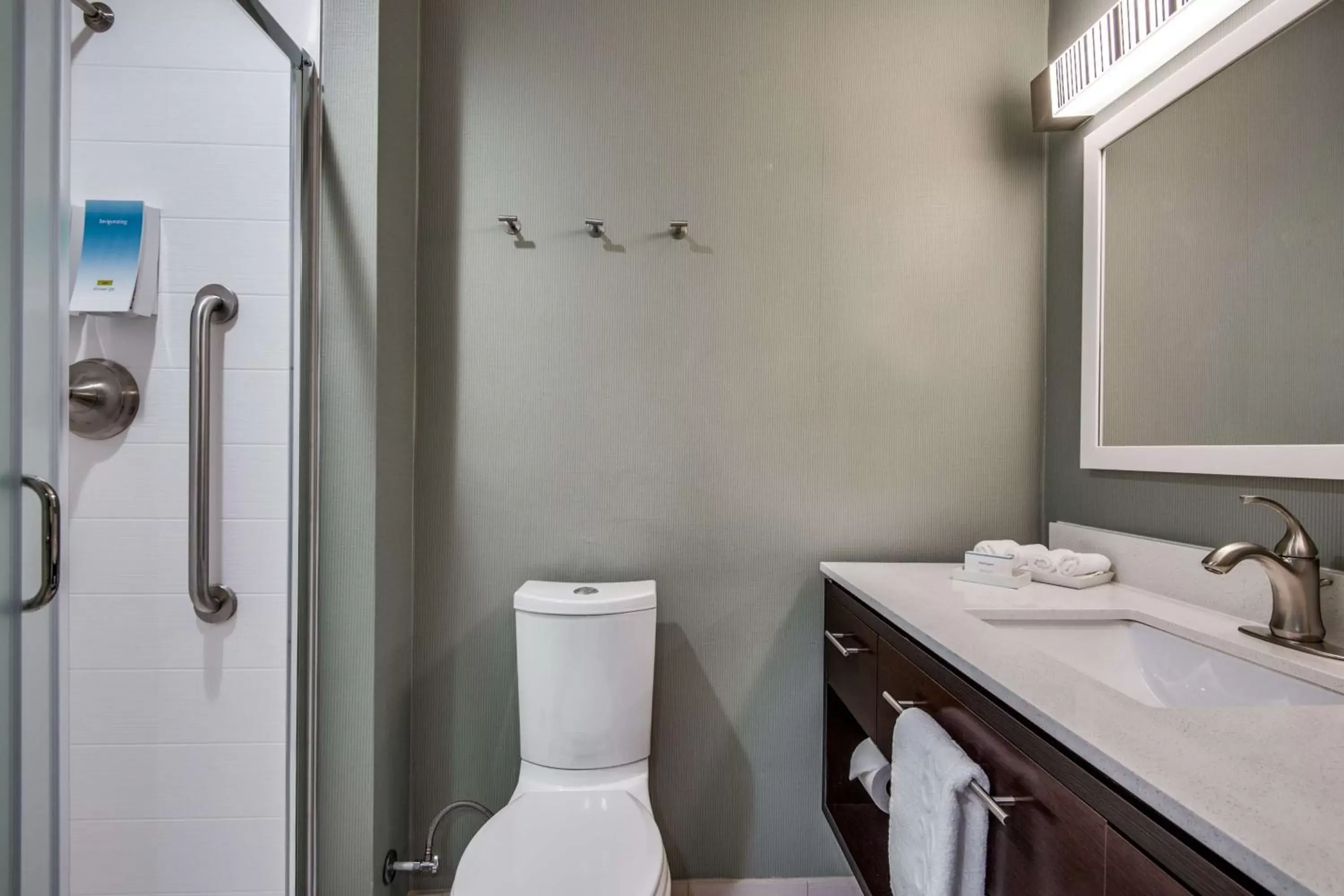 Bathroom in Home2 Suites by Hilton DFW Airport South Irving