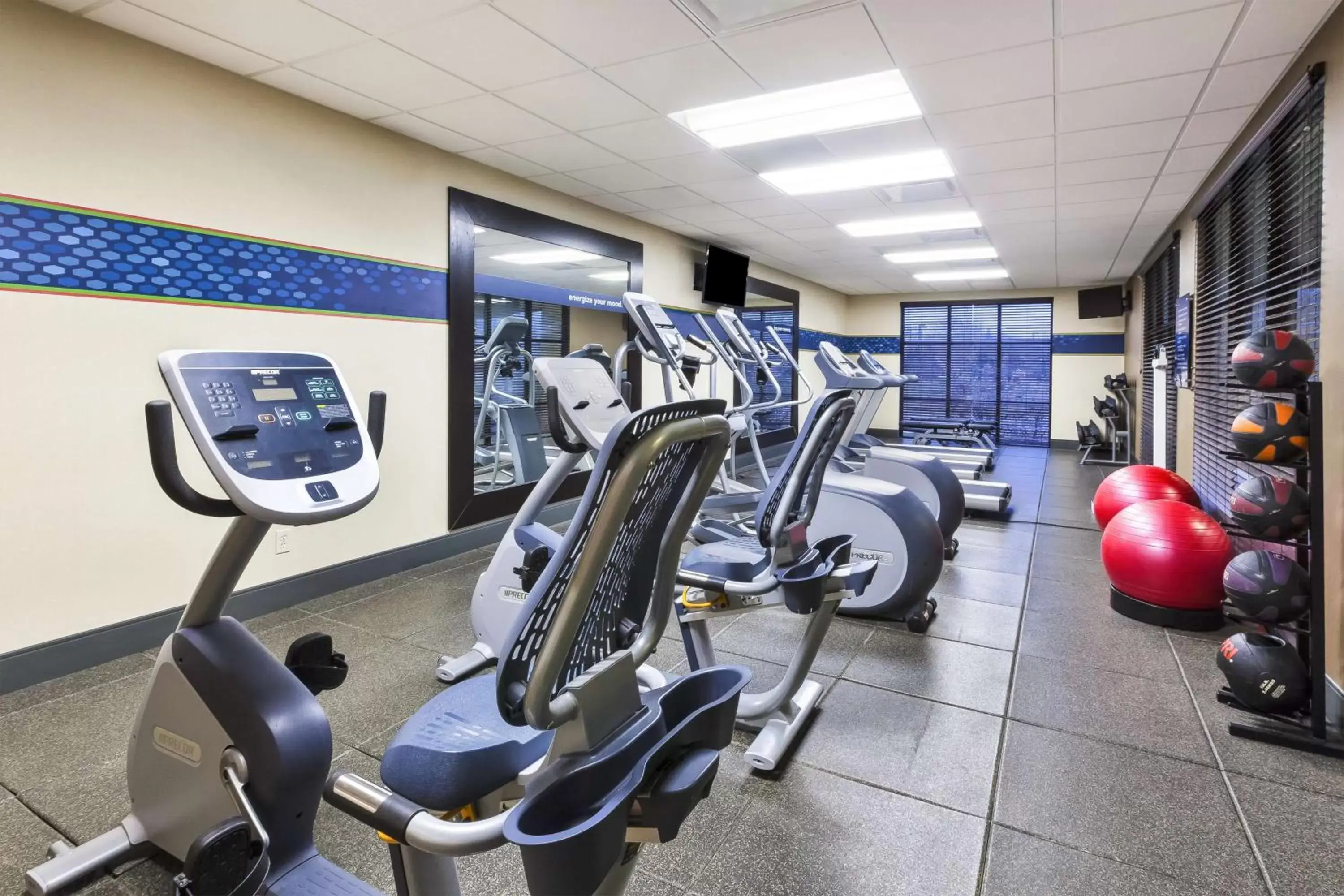 Fitness centre/facilities, Fitness Center/Facilities in Hampton Inn Detroit/Southgate