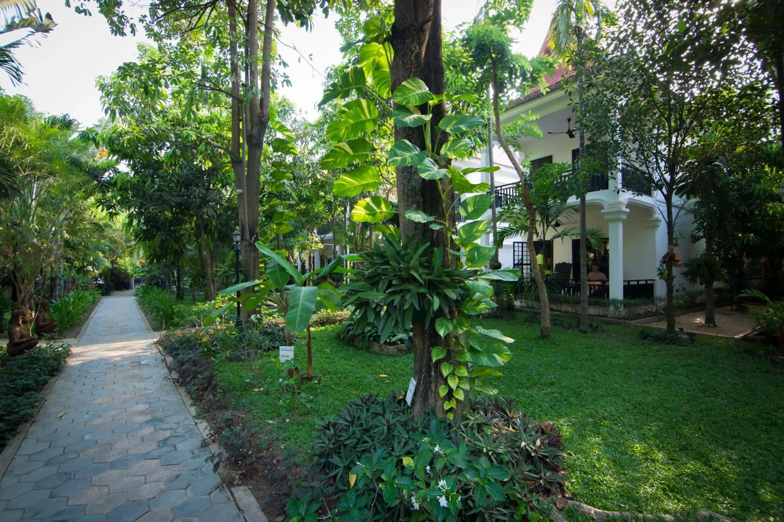 Garden in Sonalong Boutique Village and Resort