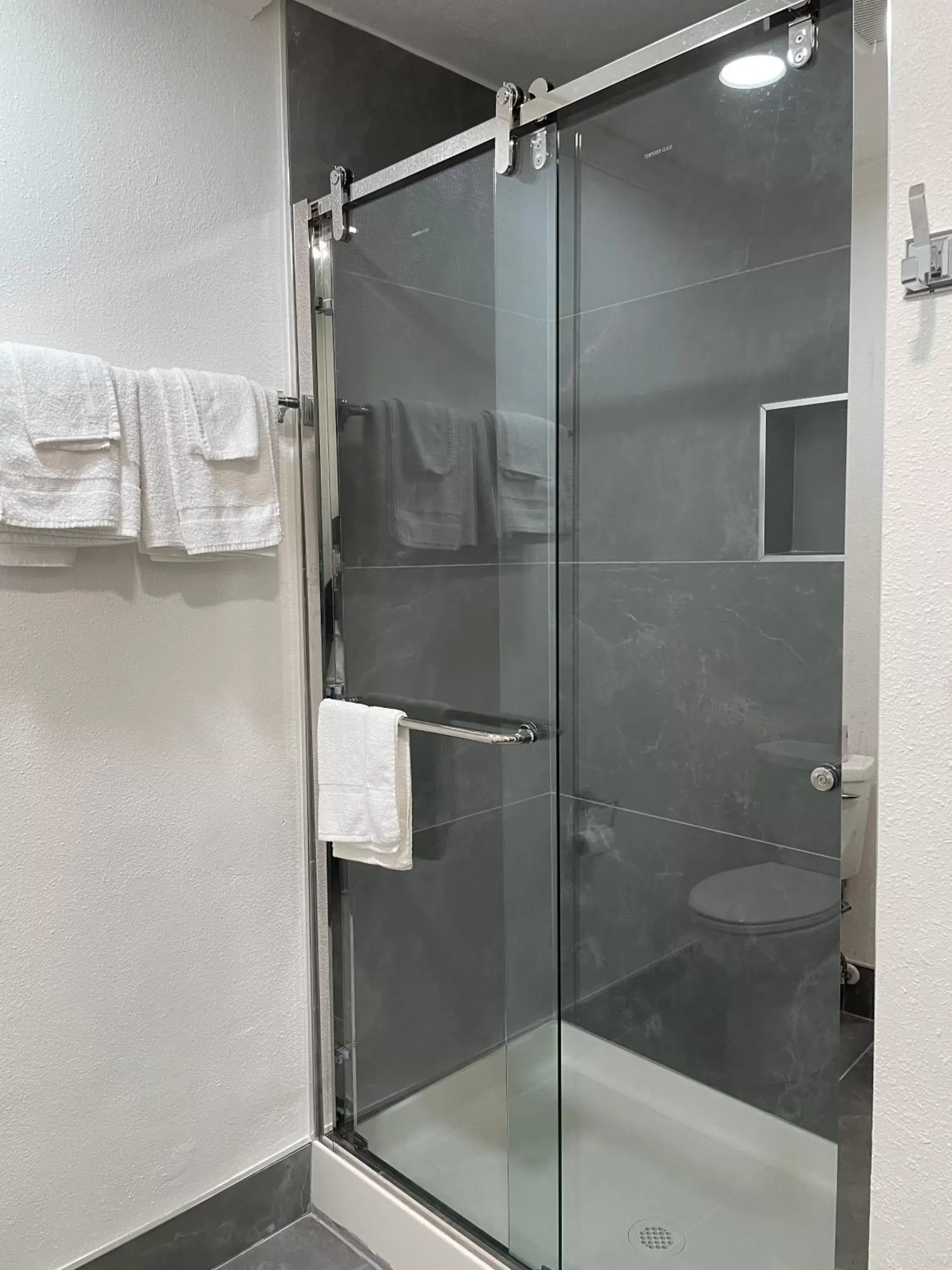 Shower, Bathroom in Ritz Inn-San Francisco Airport SFO
