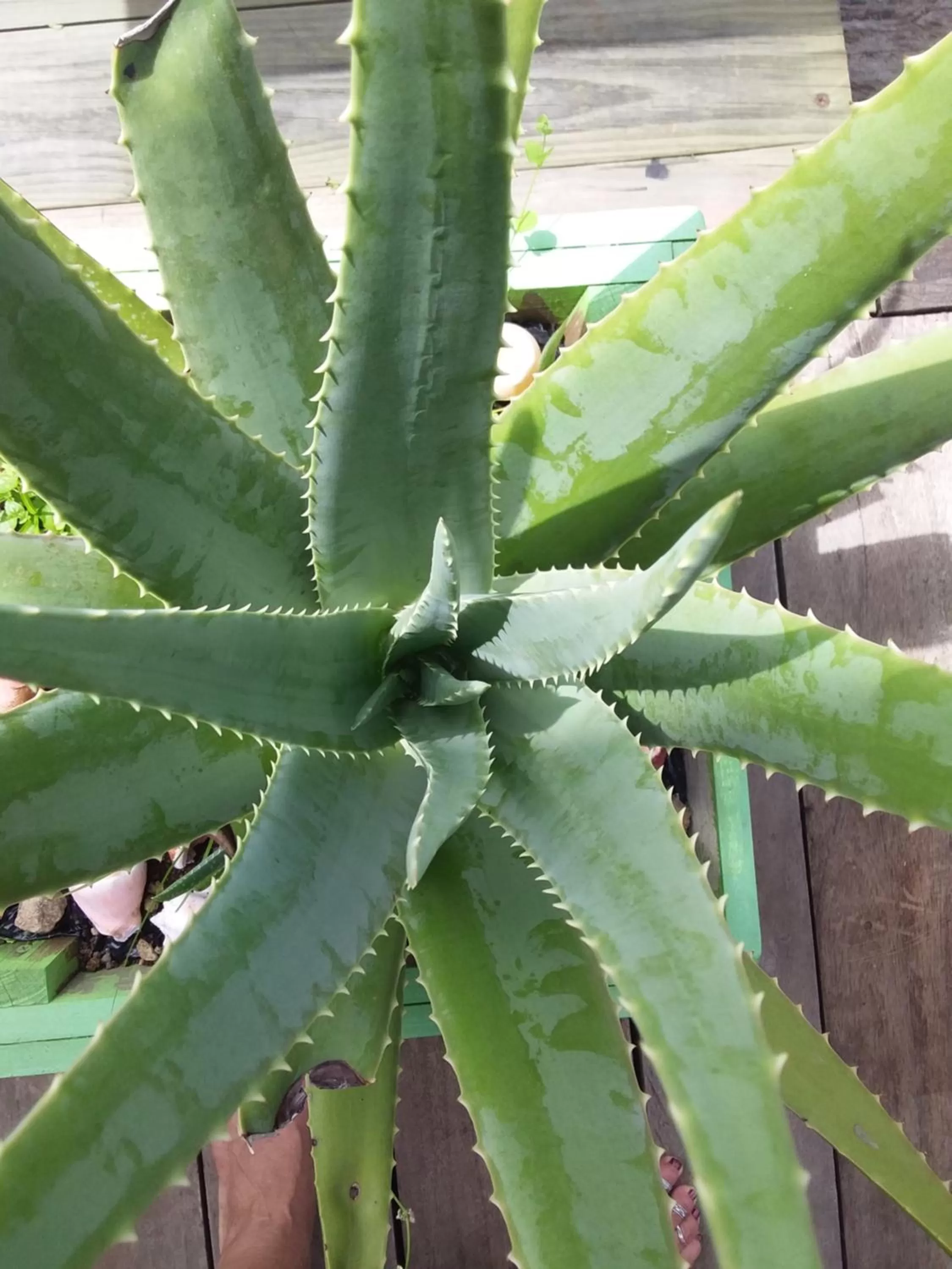 Property building in RIVA B&B