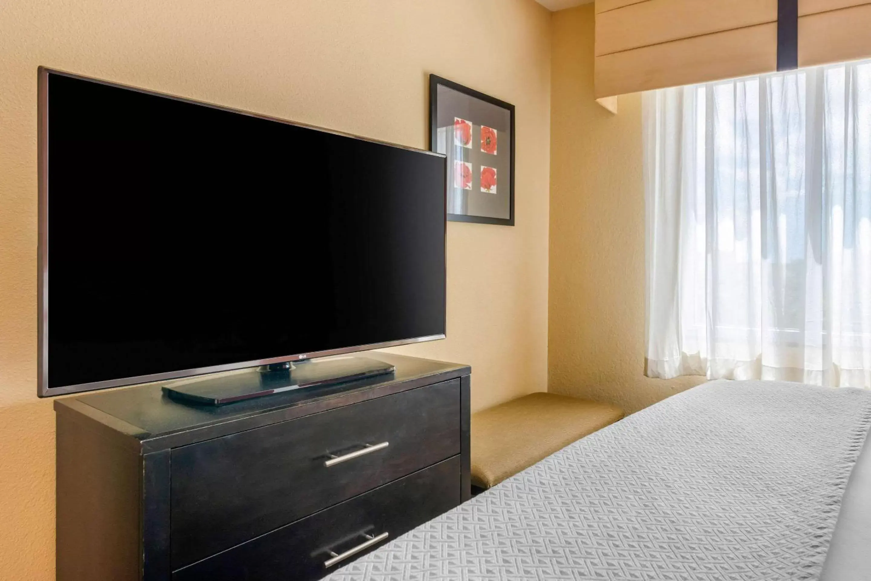 Photo of the whole room, TV/Entertainment Center in Cambria Hotel Ft Lauderdale, Airport South & Cruise Port