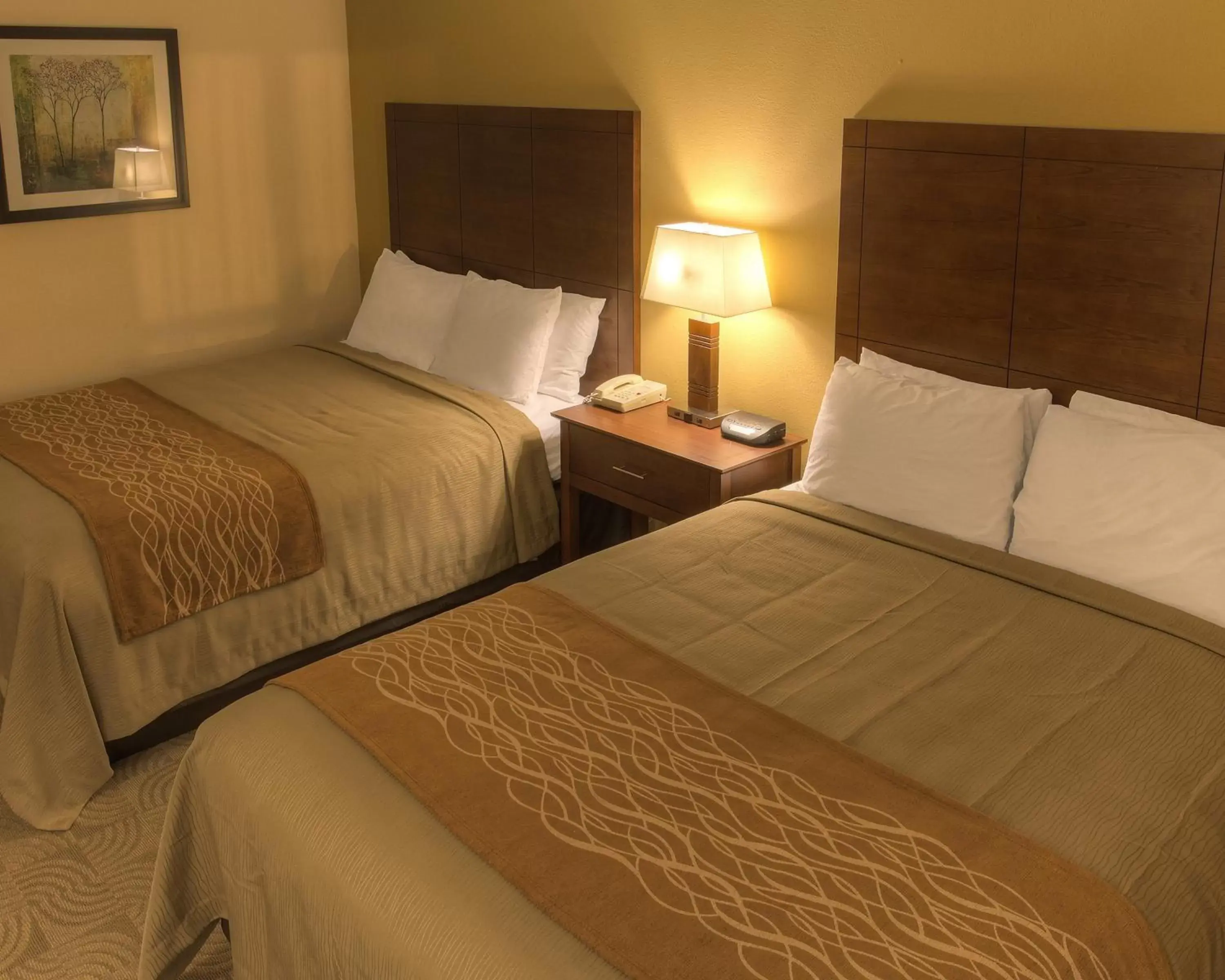 Queen Room with Two Queen Beds - Non-Smoking in Comfort Inn & Suites Santee