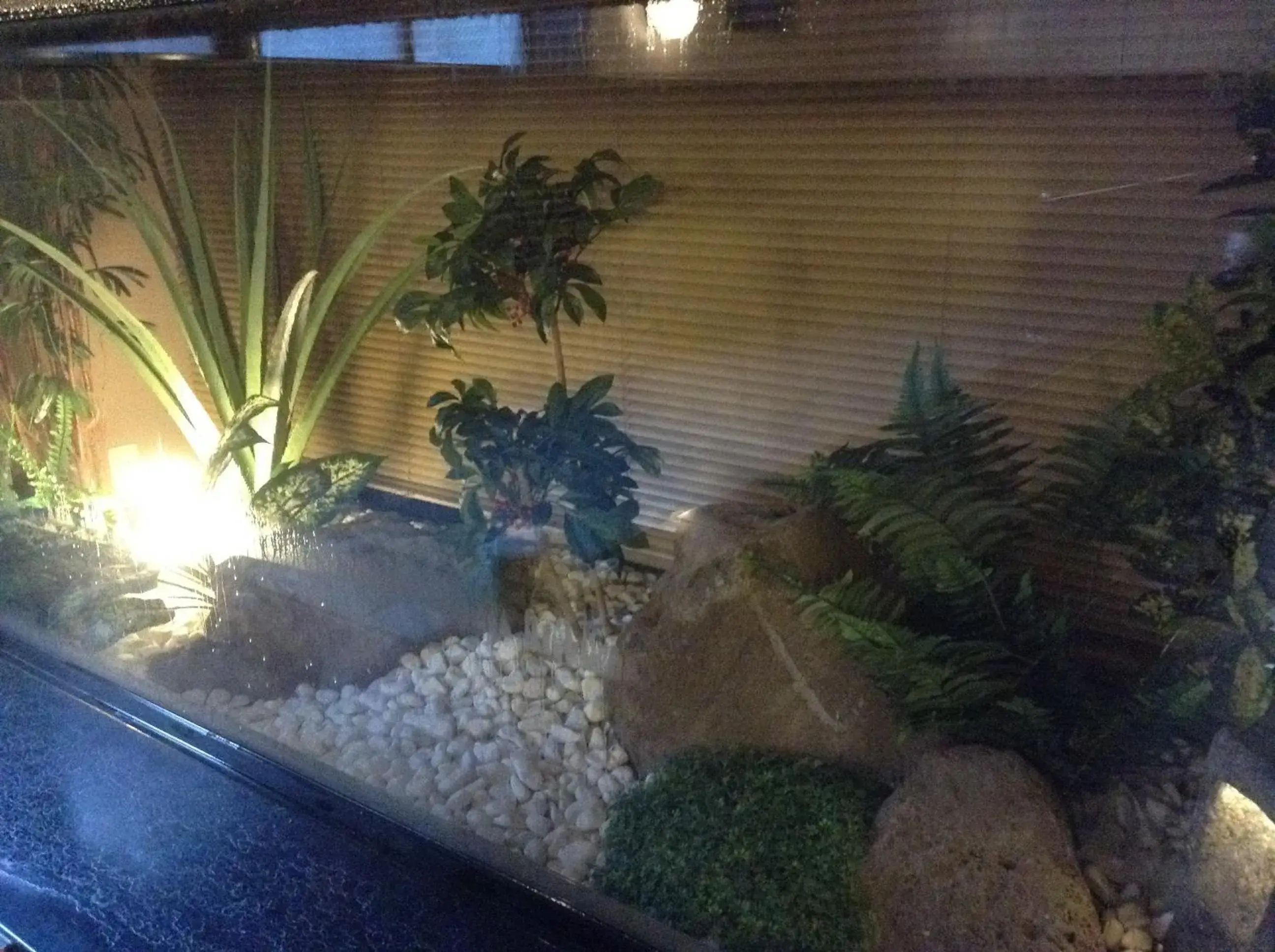 Garden view in Matsumoto Tourist Hotel Garden view in Matsumoto Tourist Hotel