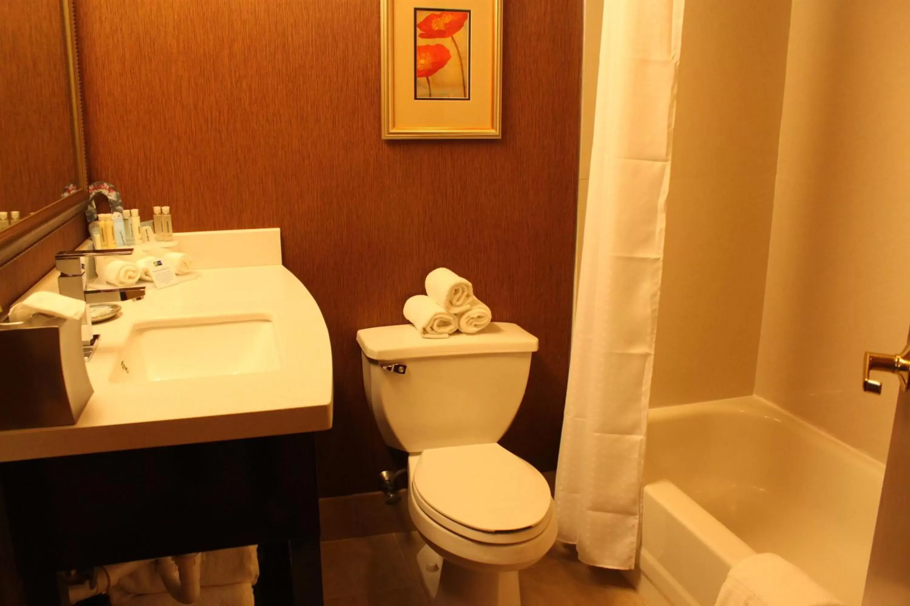 Bathroom in Holiday Inn Express Lewisburg - New Columbia, an IHG Hotel