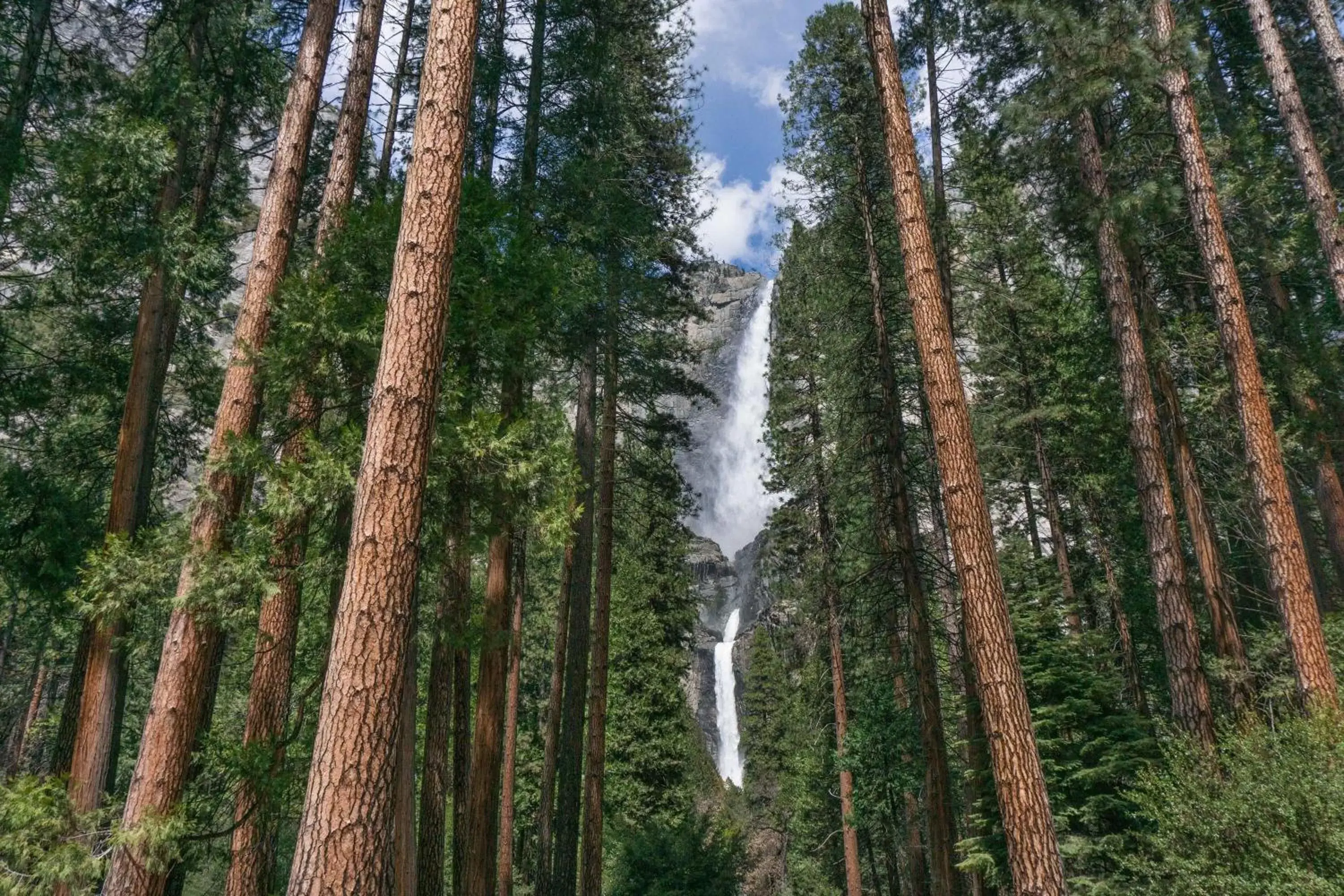 Nearby landmark in Holiday Inn Express & Suites Oakhurst-Yosemite Park Area, an IHG Hotel