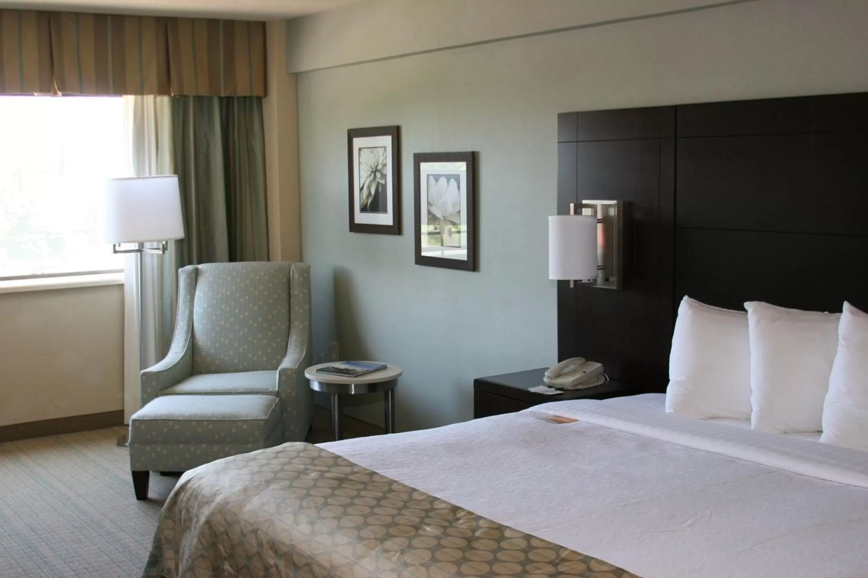 Photo of the whole room, Bed in Holiday Inn Virginia Beach - Norfolk, an IHG Hotel