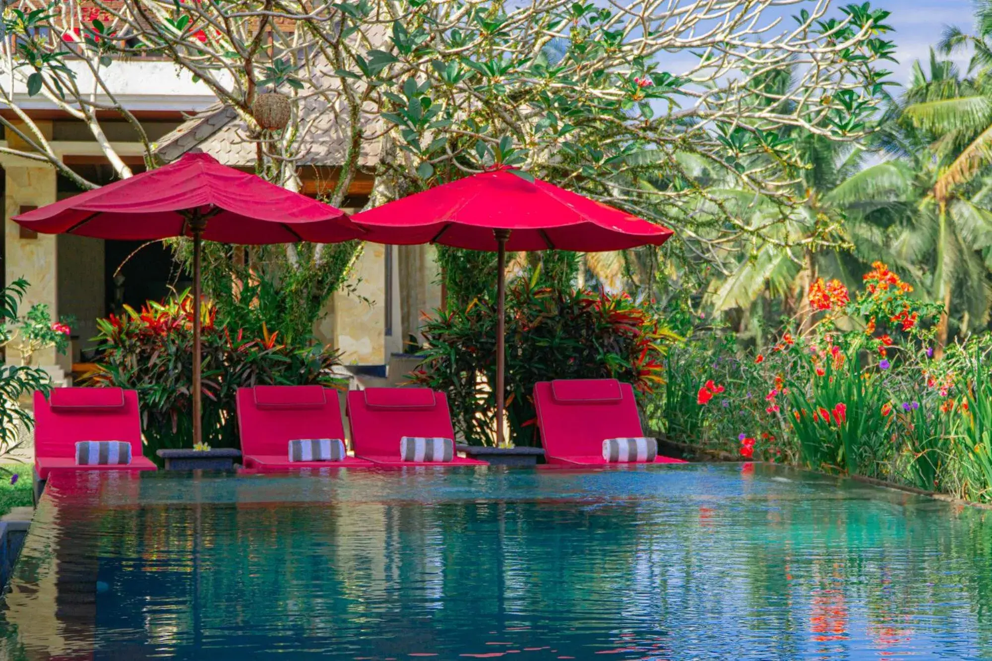 Swimming pool in Uma Stana Villa