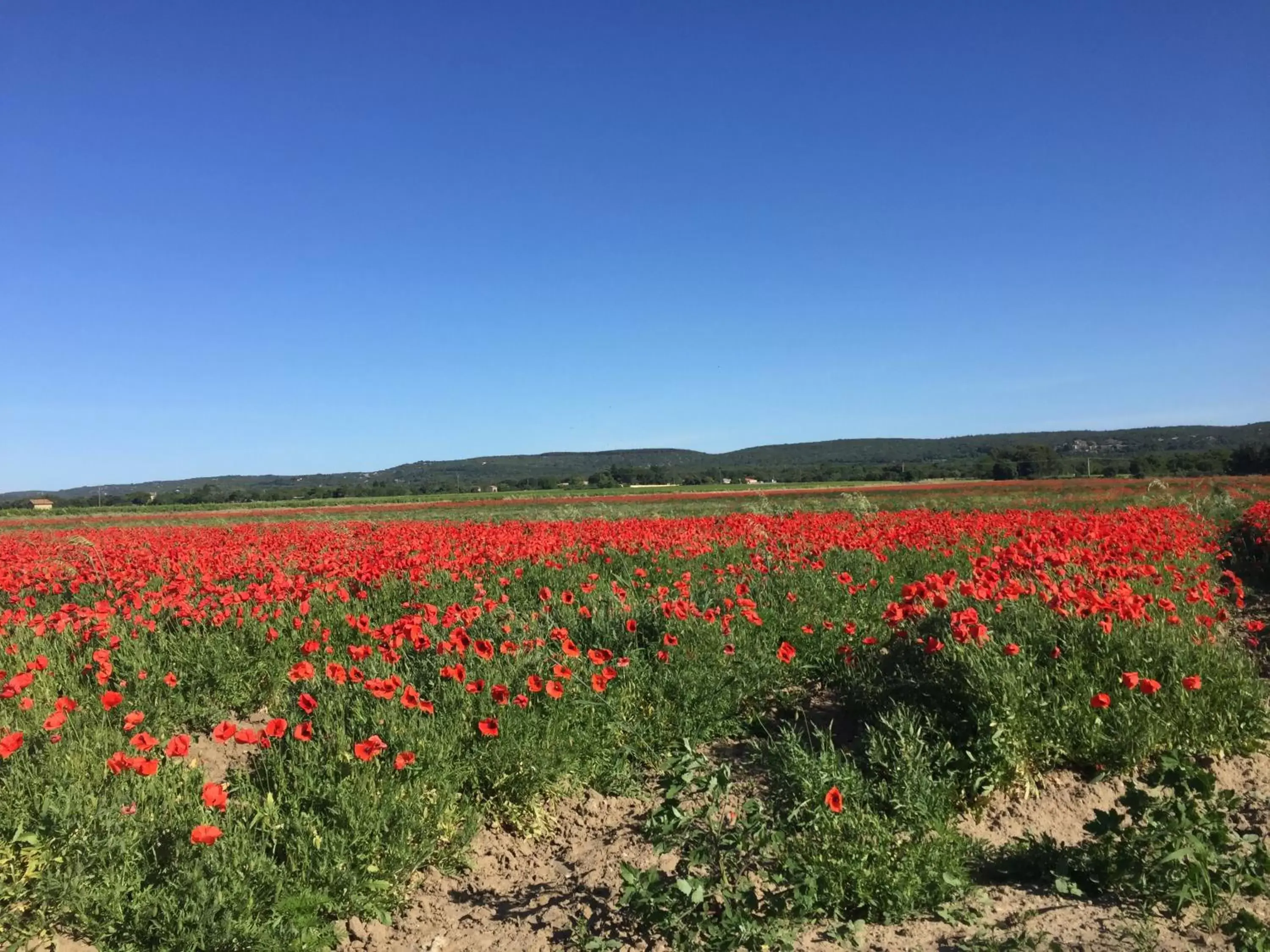 Natural landscape in B&B et Gite d'ayran