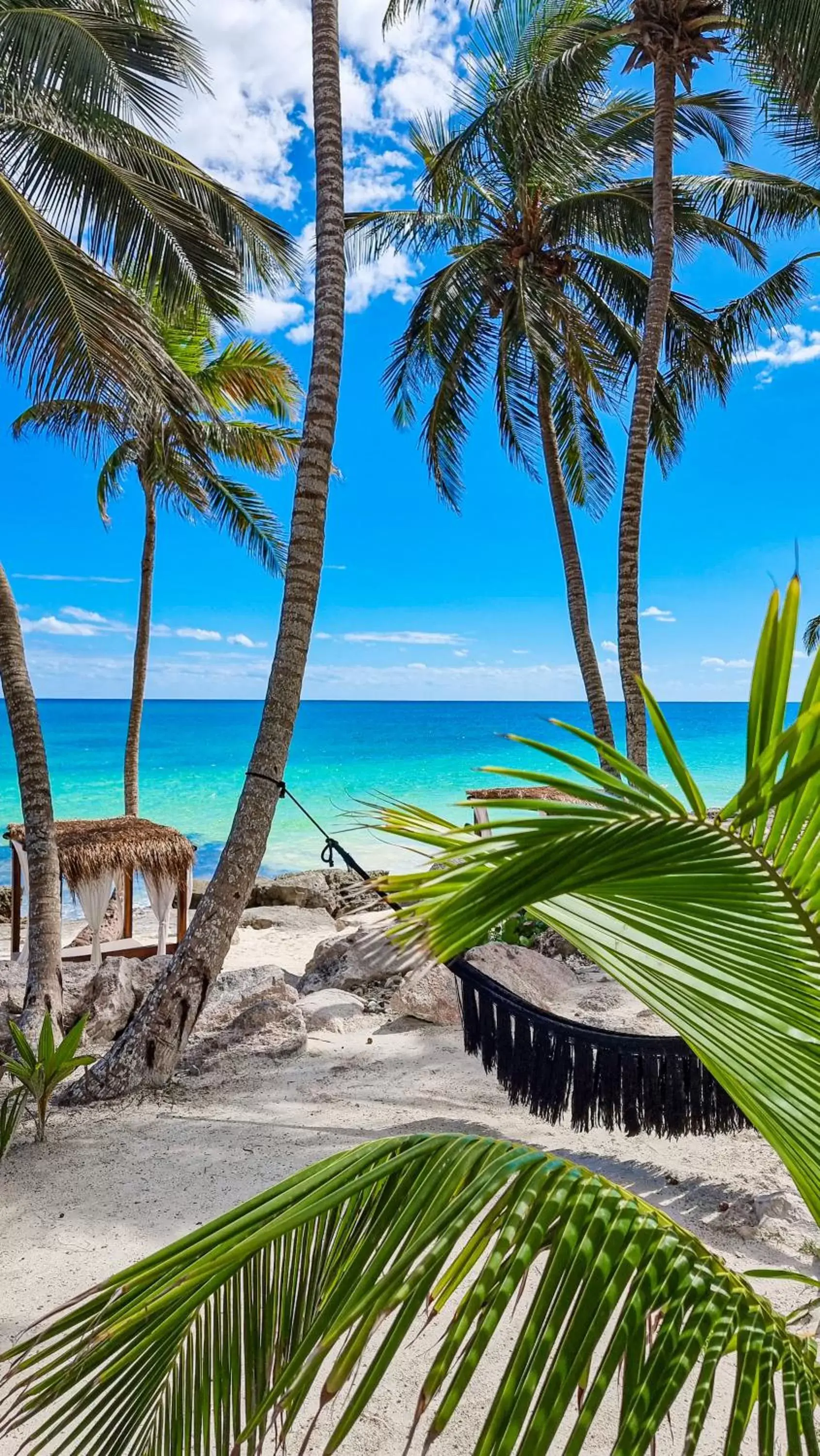 Natural landscape, Beach in Diamante K - Inside Tulum National Park