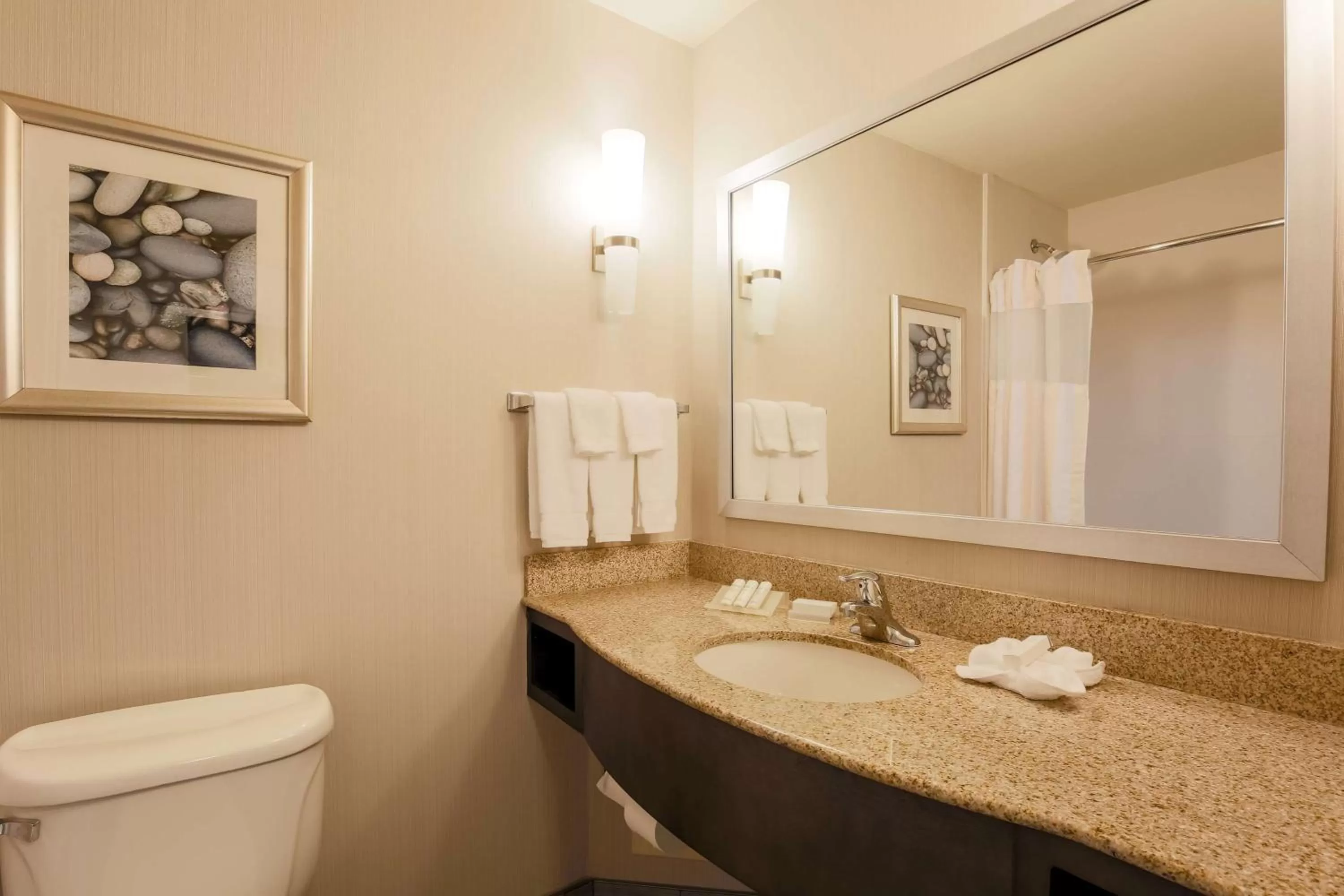 Bathroom in Hilton Garden Inn Nanuet
