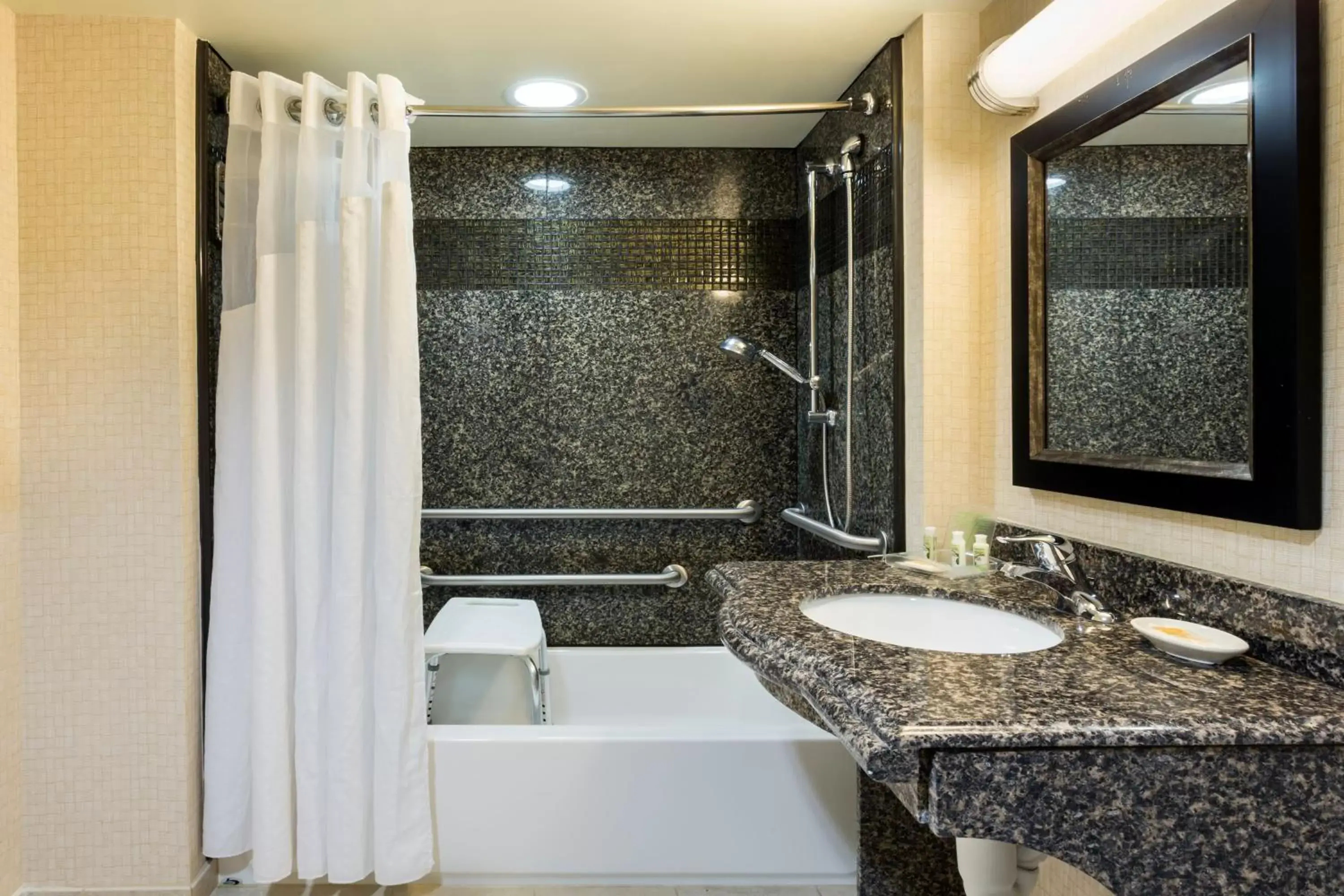 Bathroom in Holiday Inn Daytona Beach LPGA Boulevard, an IHG Hotel