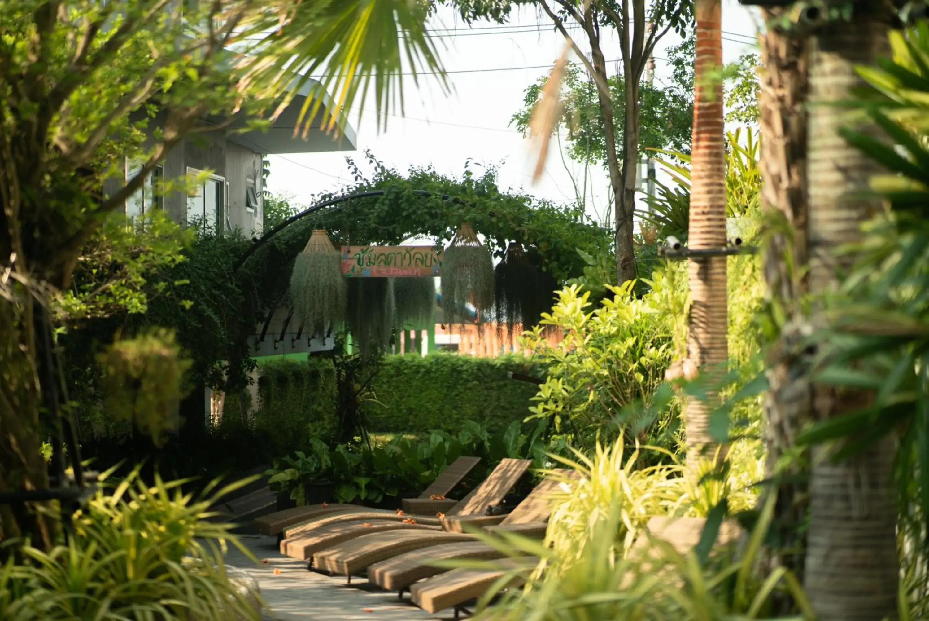 Garden, Property Building in Wisdom Hotel