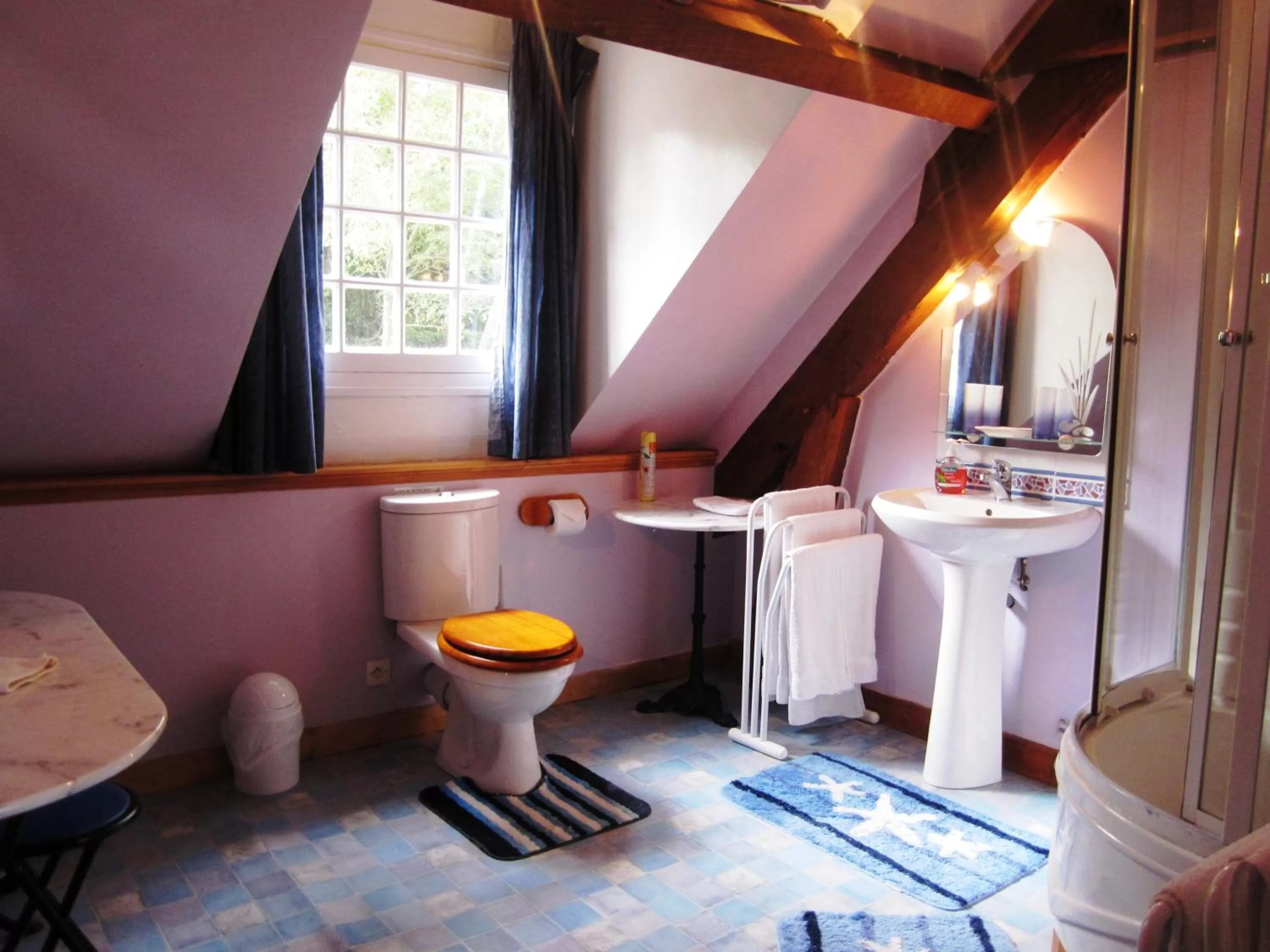 Shower, Bathroom in La Croix du Reh