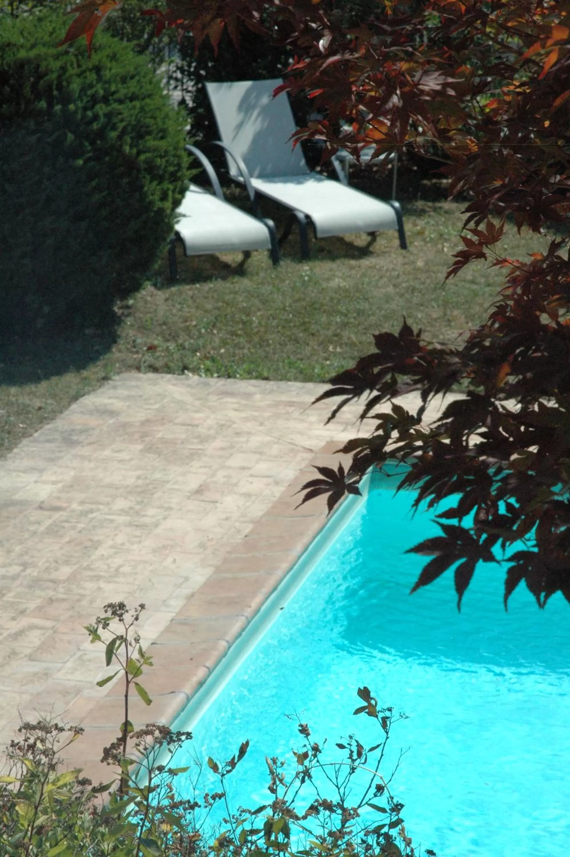 Swimming pool in Hotel Rutiliano