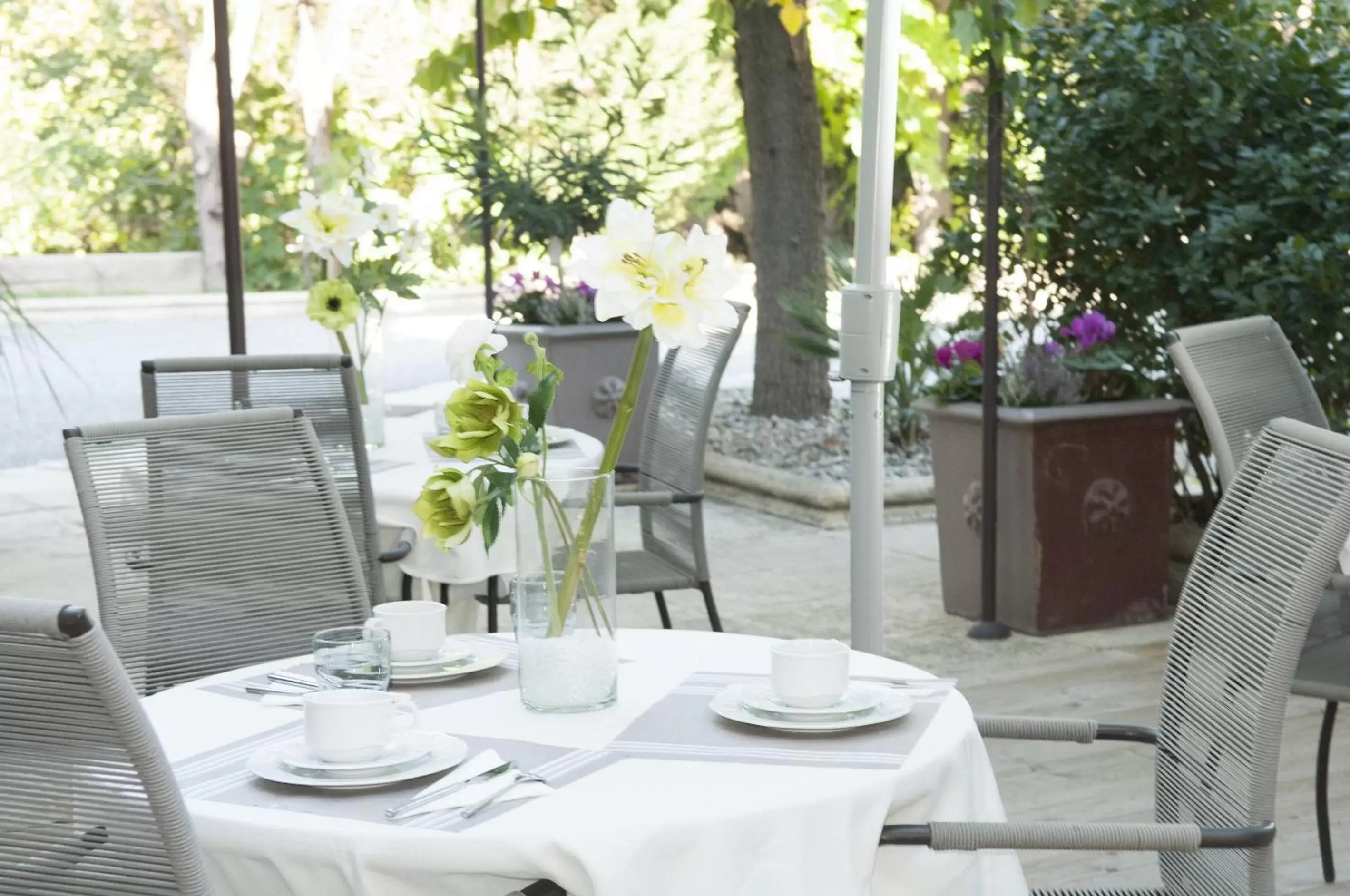 Breakfast, Restaurant/Places to Eat in HOTEL ERMITAGE