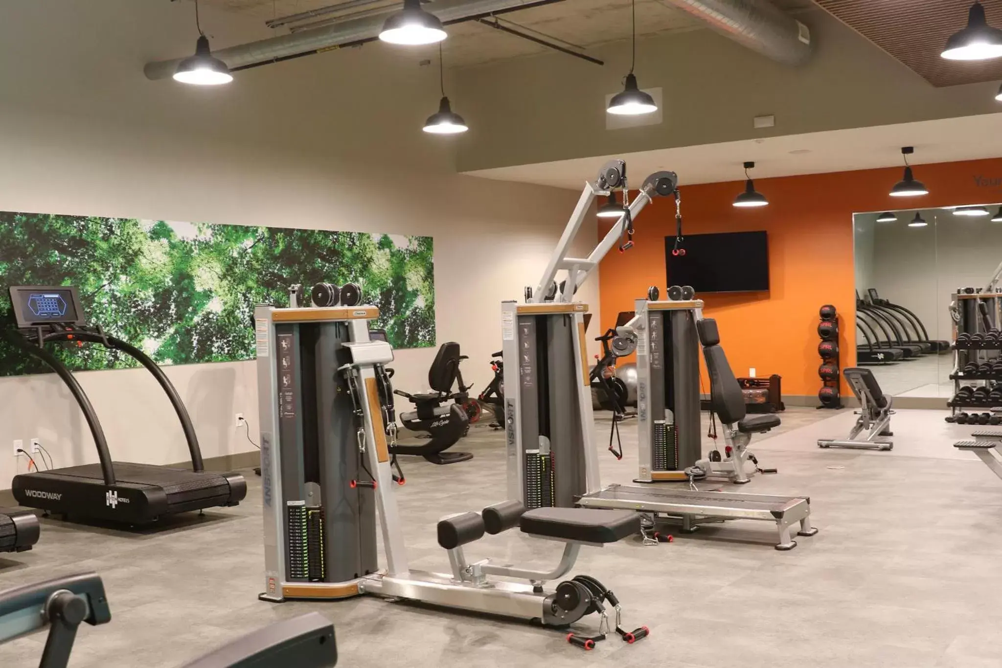 Fitness centre/facilities, Fitness Center/Facilities in Staybridge Suites Rochester - Mayo Clinic Area, an IHG Hotel