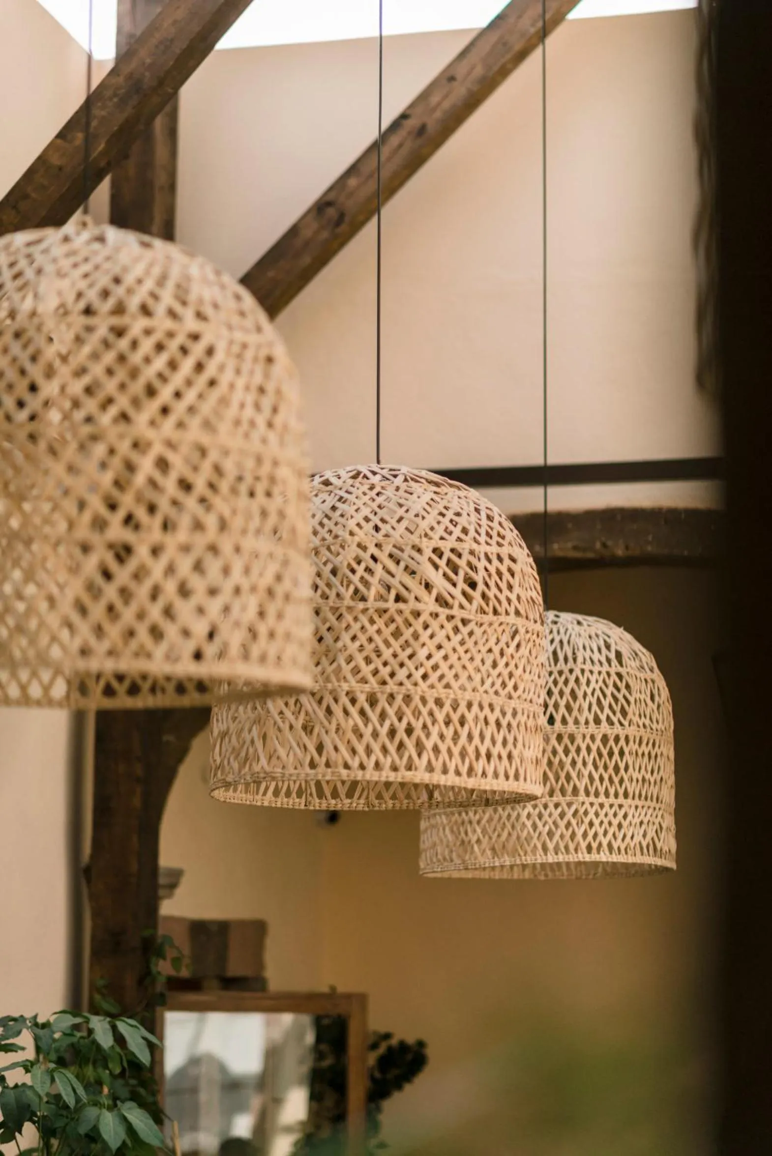 Restaurant/places to eat in Casa Hoyos - Hotel Boutique