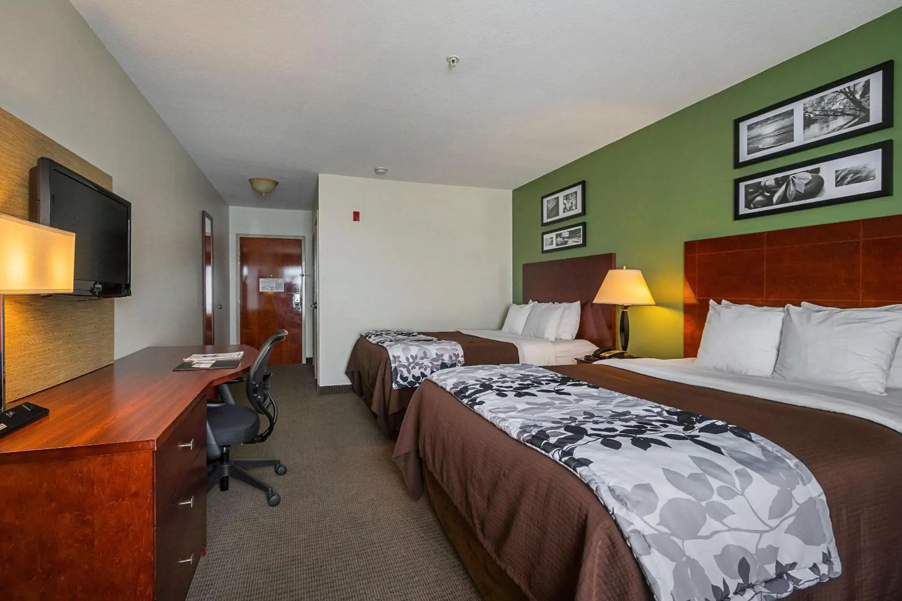 Photo of the whole room in Sleep Inn & Suites Manchester